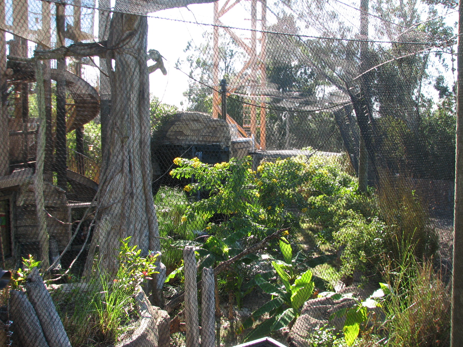 Jungala - Flying Fox Exhibit