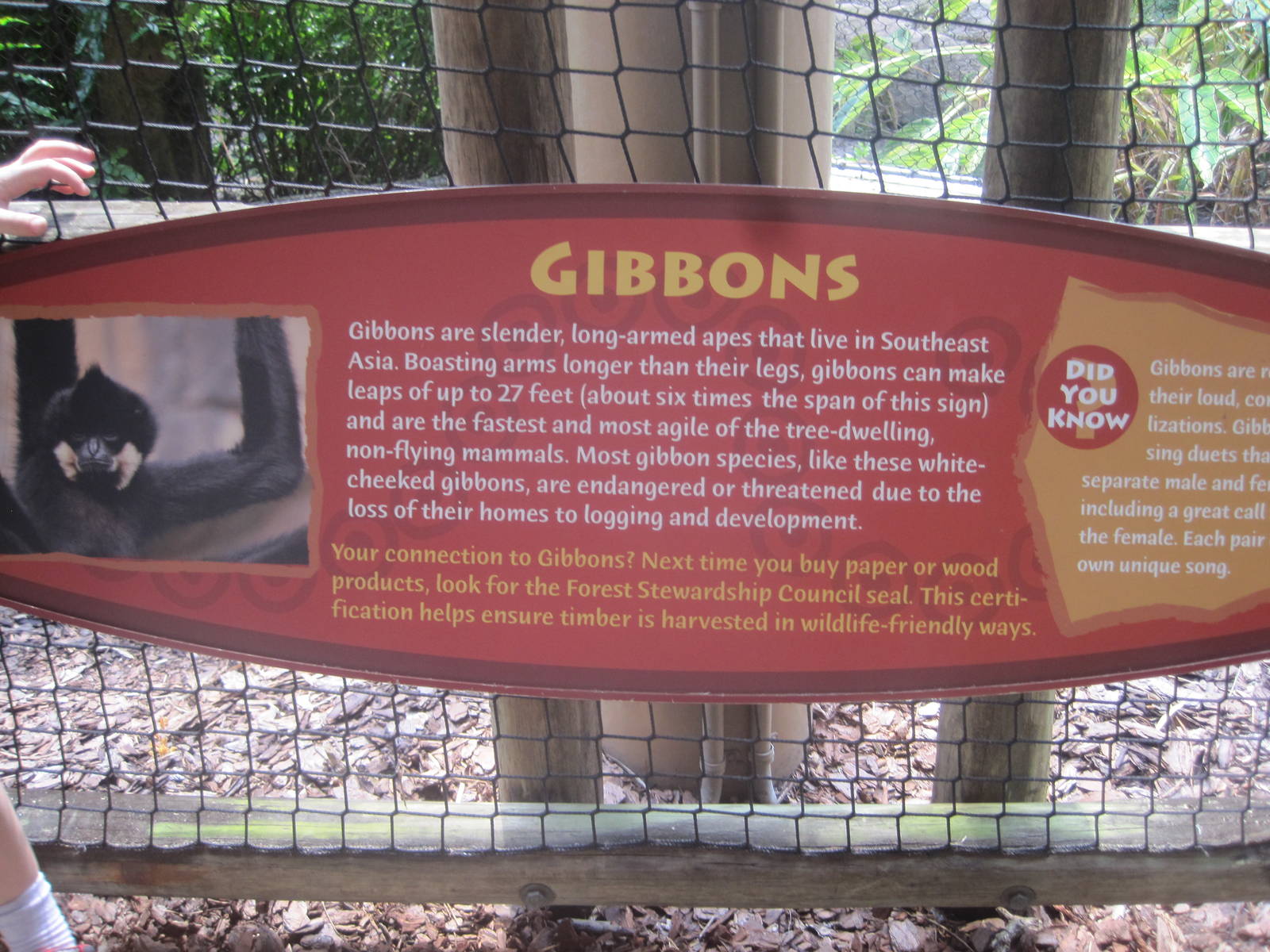 Jungala- Gibbon Signage