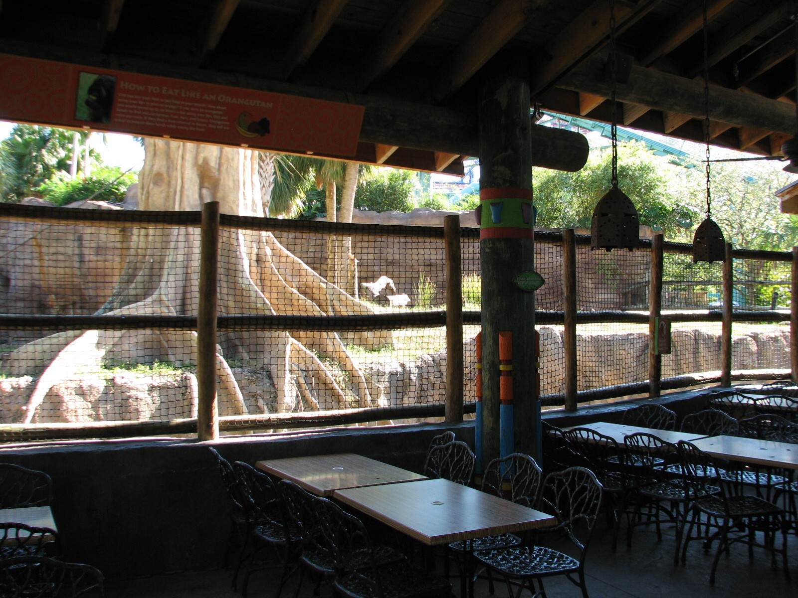 Jungala - Orangutan Exhibit - Orang Cafe Viewing Area