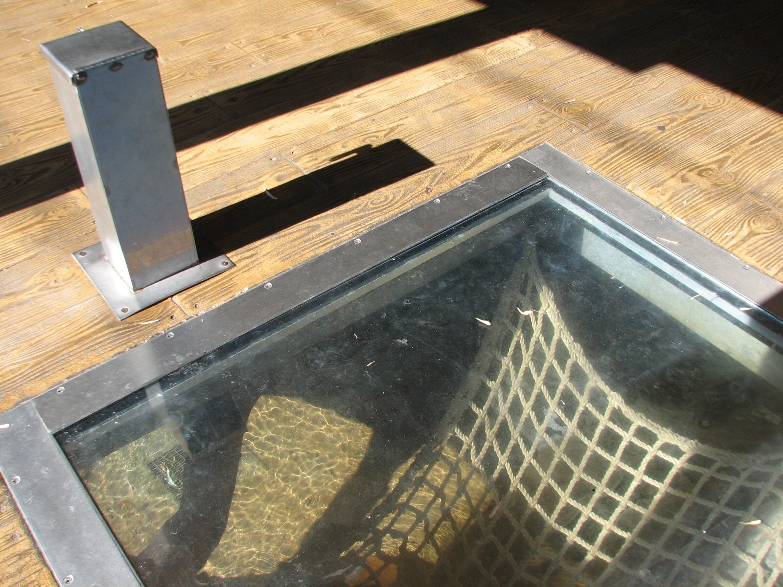 Jungala - Orangutan Exhibit - Orangutan Outpost Floor