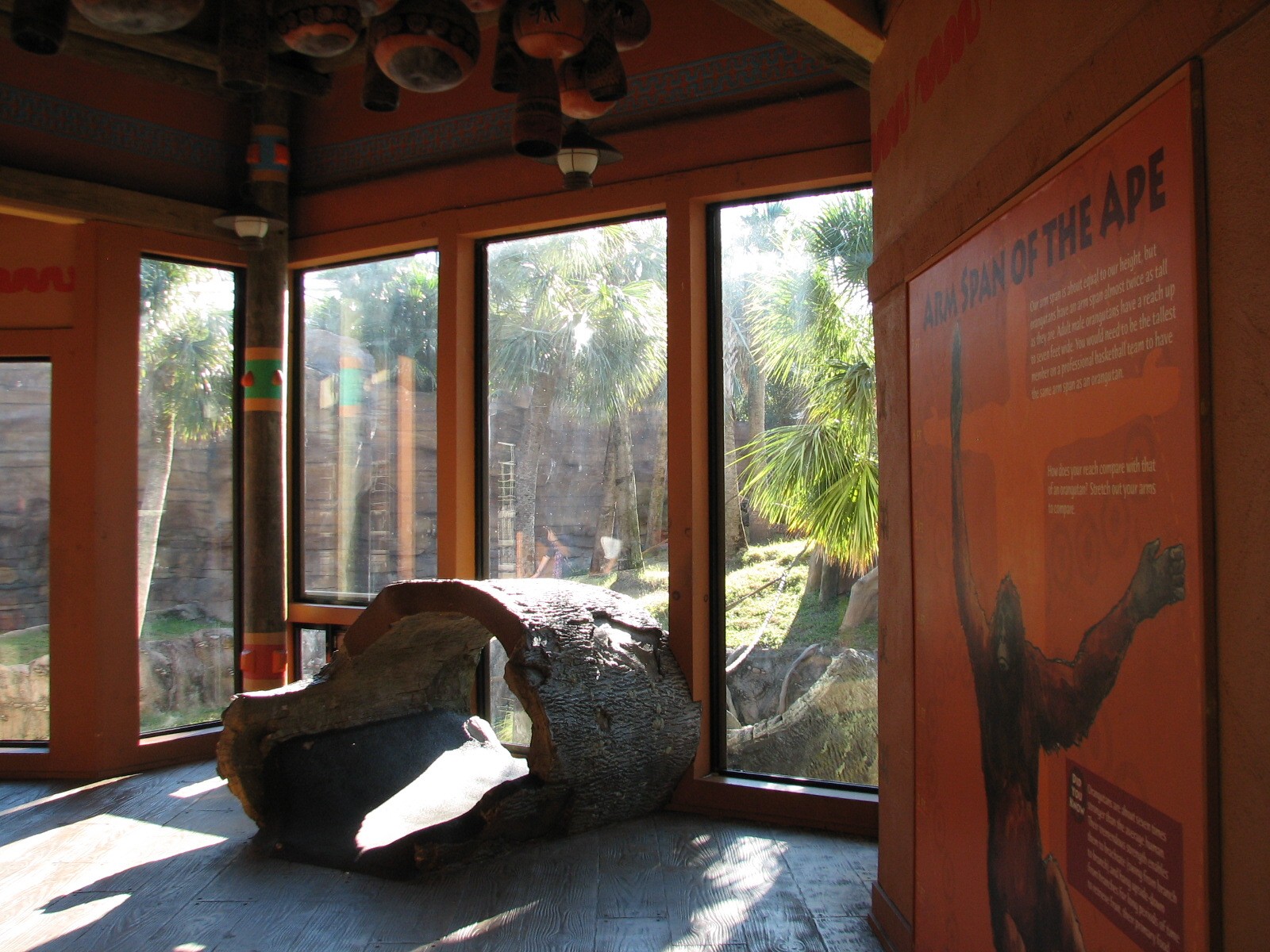 Jungala - Orangutan Exhibit - Orangutan Outpost Interior