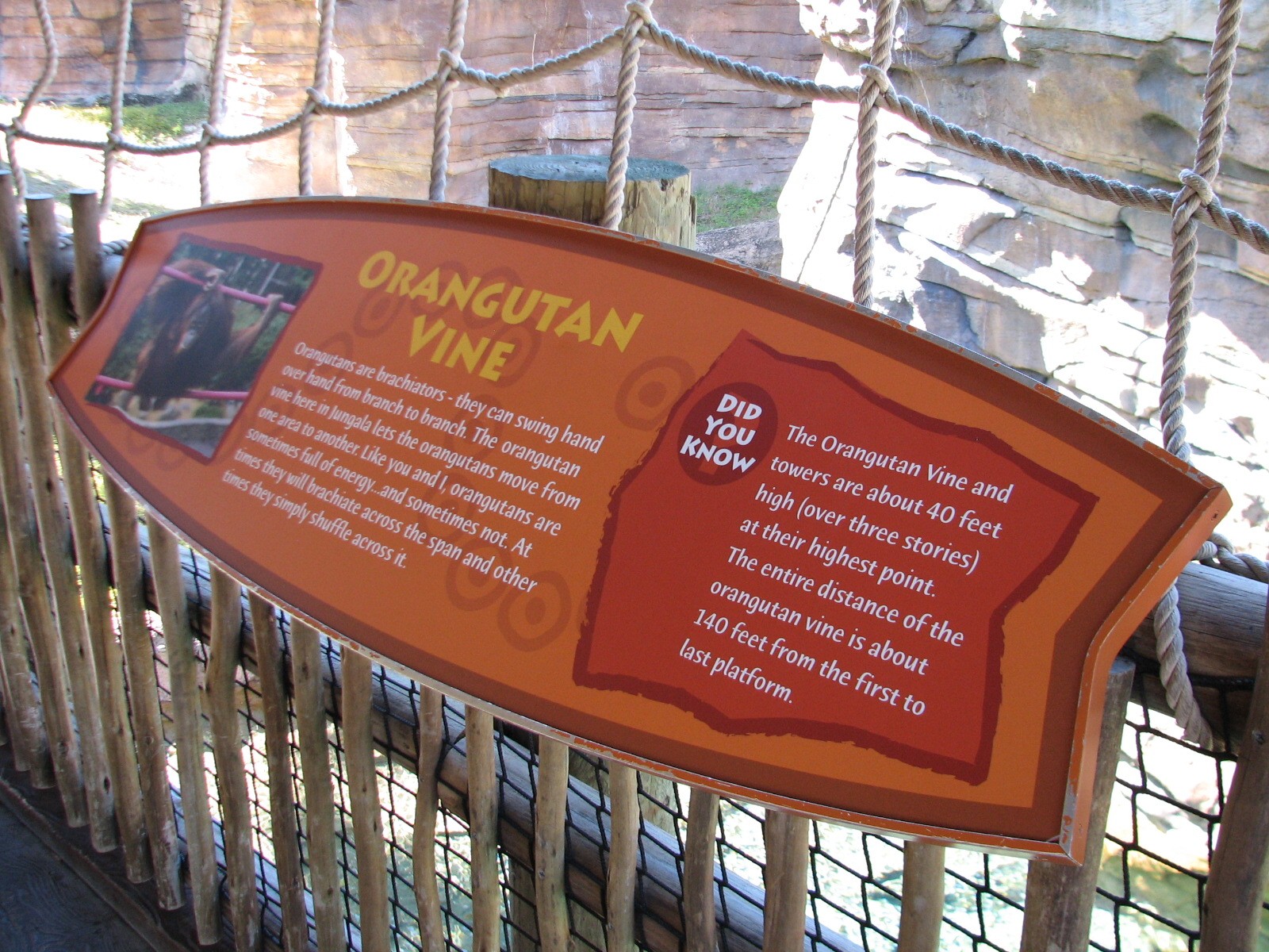 Jungala - Orangutan Exhibit - Orangutan Vine Sign