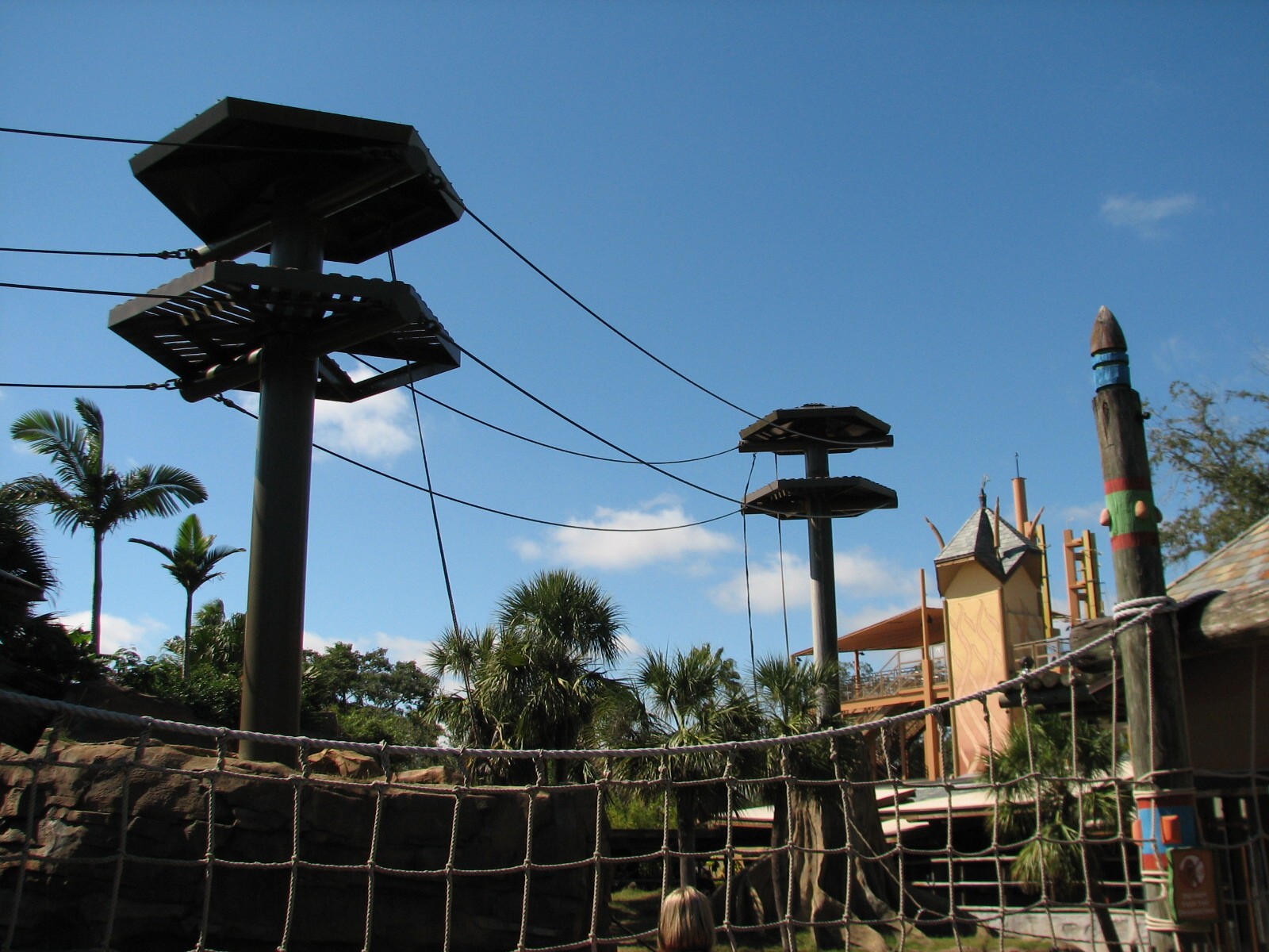 Jungala - Orangutan Exhibit - Orangutan Vine