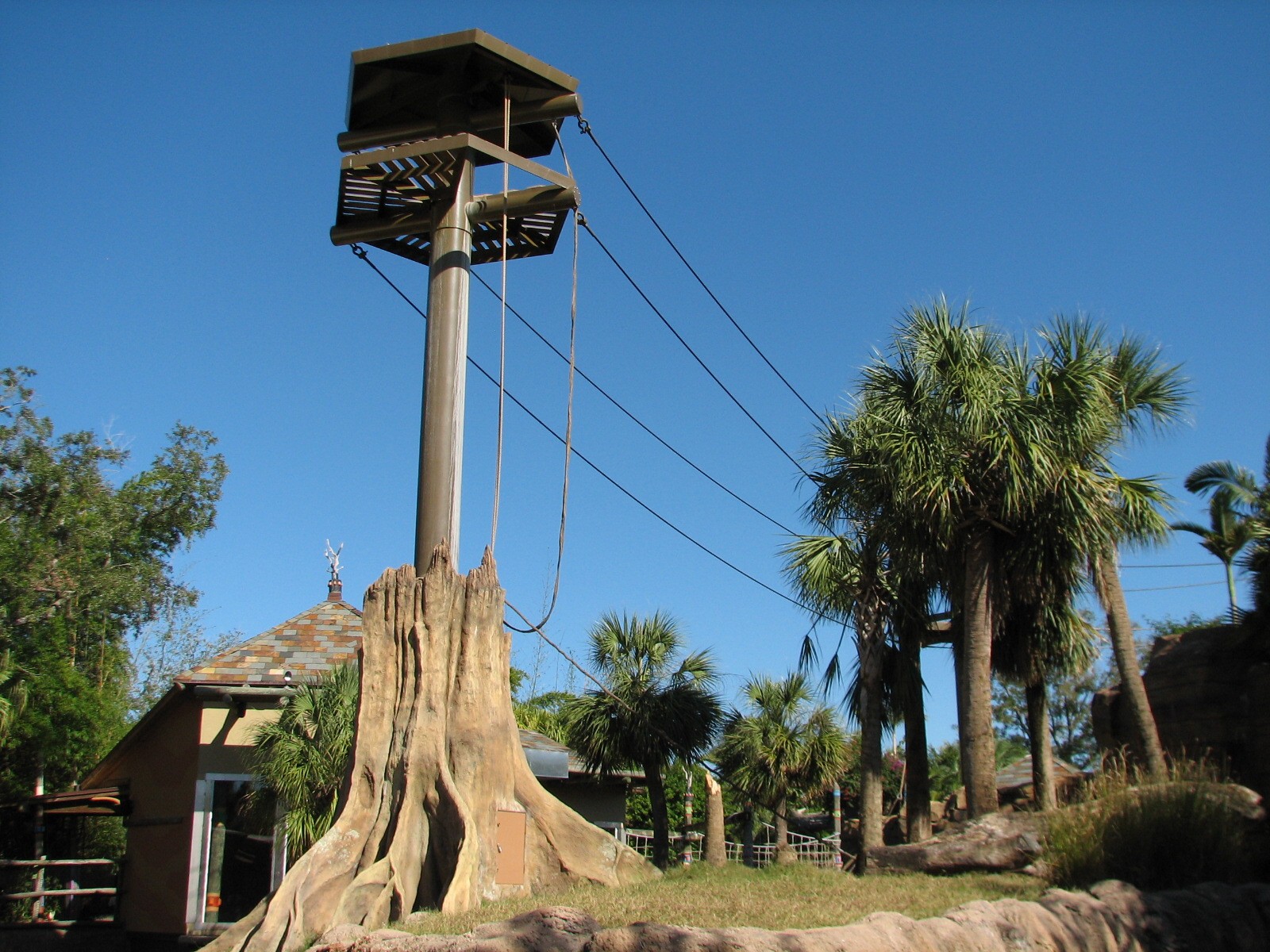 Jungala - Orangutan Exhibit - Orangutan Vine