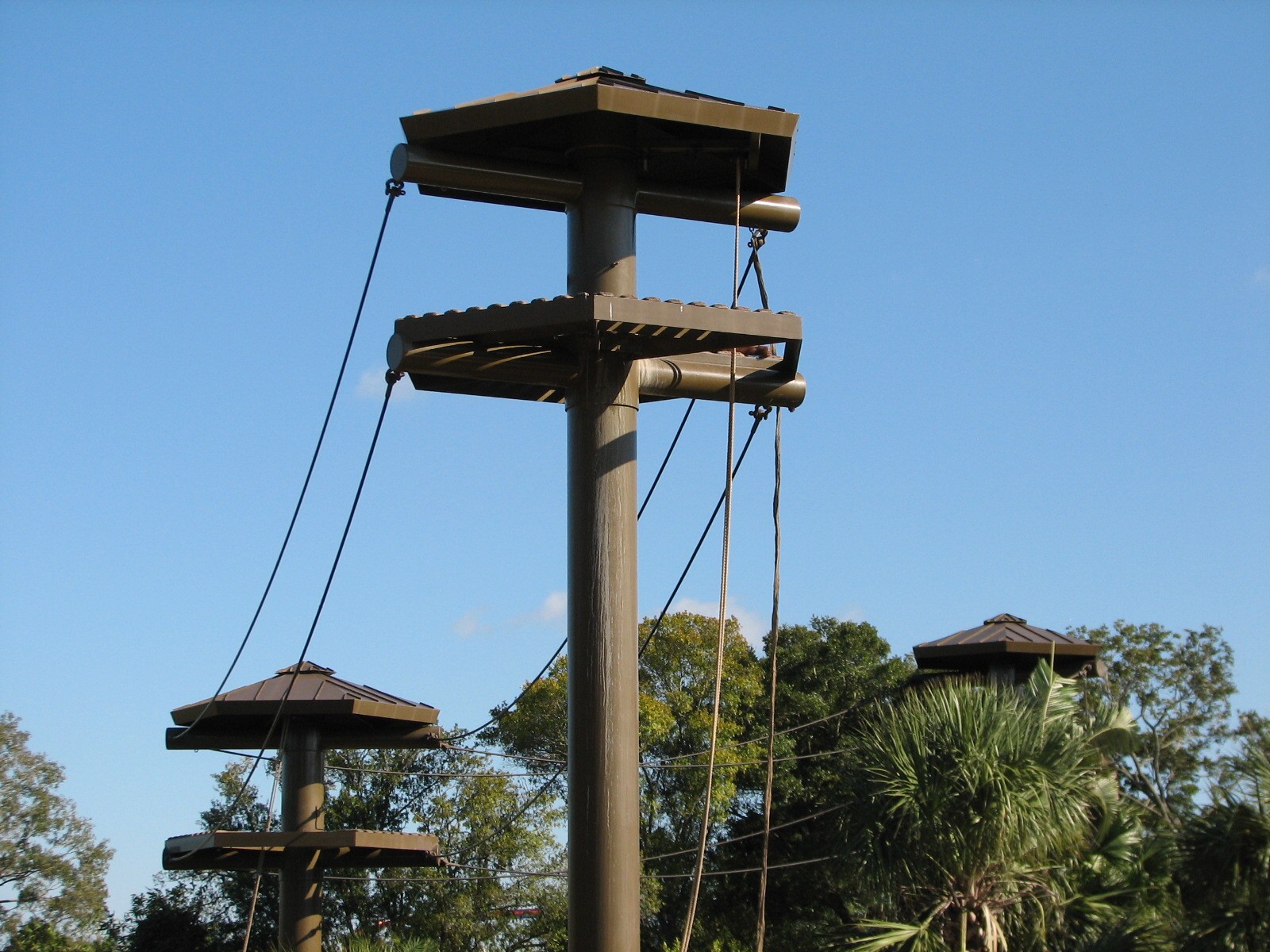 Jungala - Orangutan Exhibit - Orangutan Vine