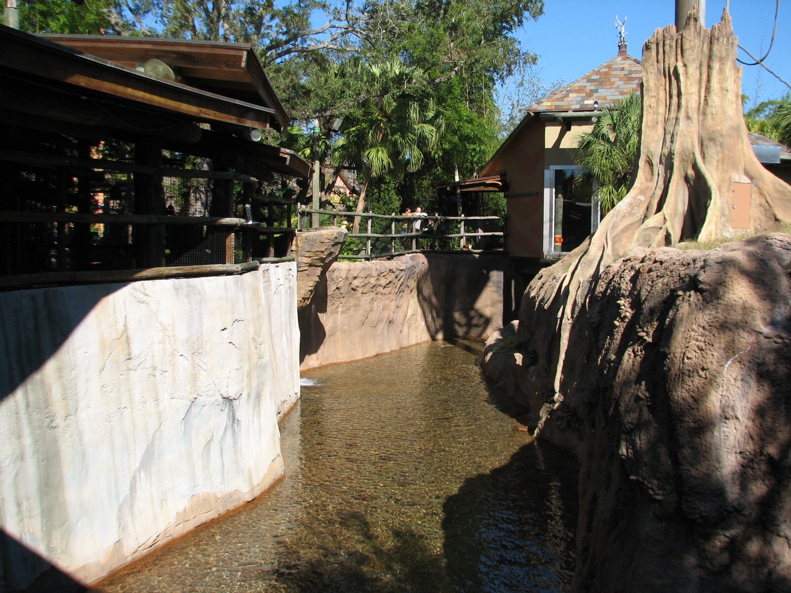 Jungala - Orangutan Exhibit - Side Moat