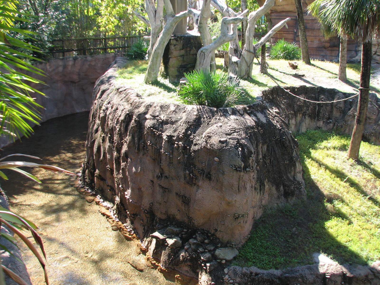 Jungala - Orangutan Exhibit