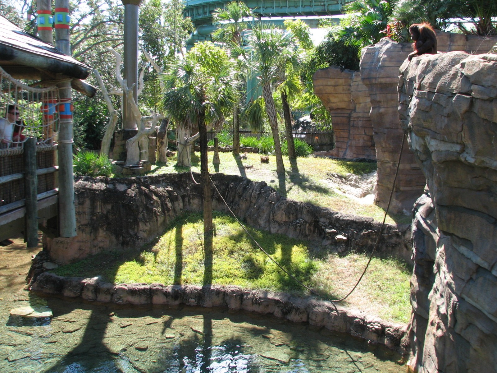 Jungala - Orangutan Exhibit