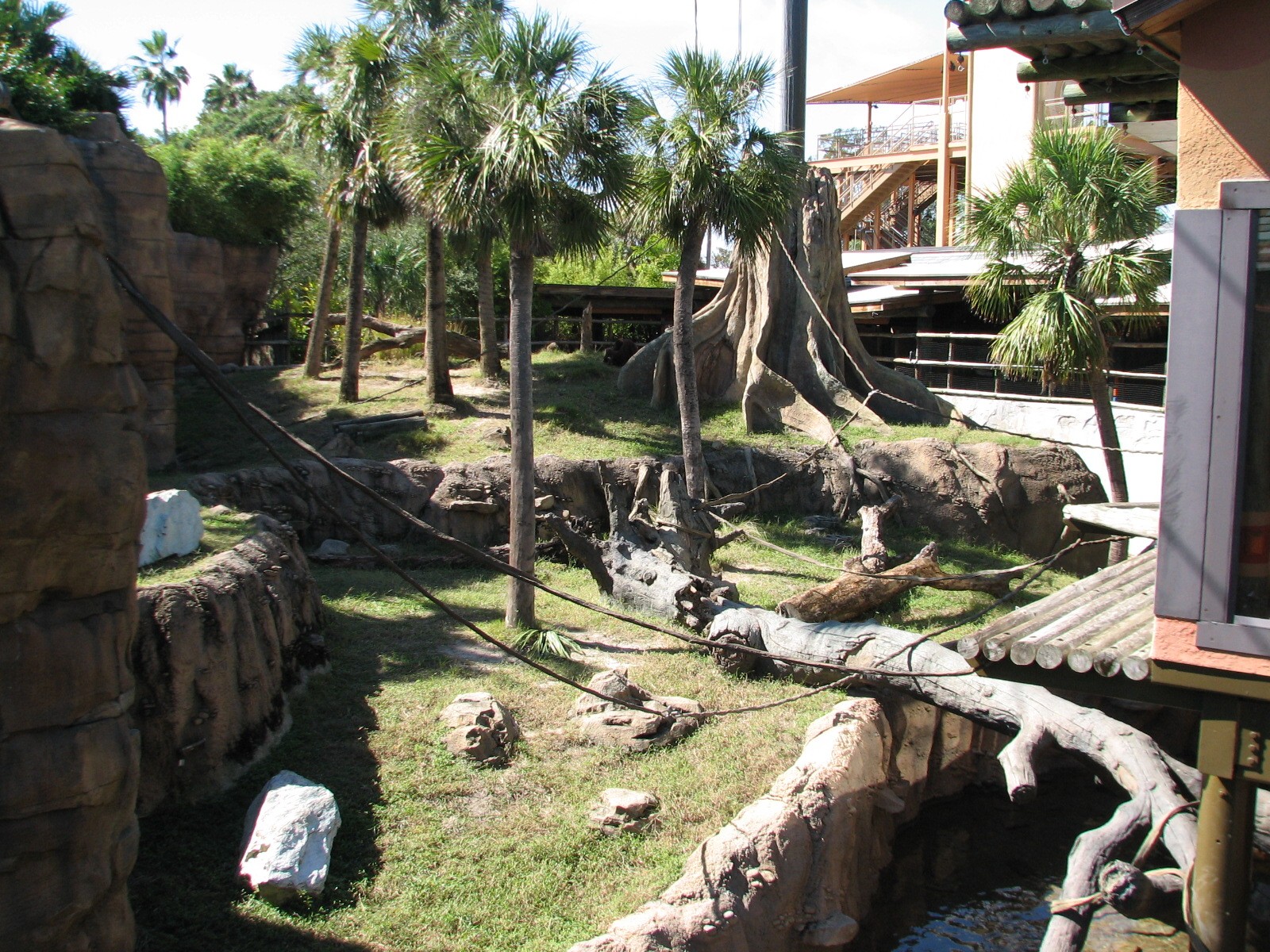 Jungala - Orangutan Exhibit