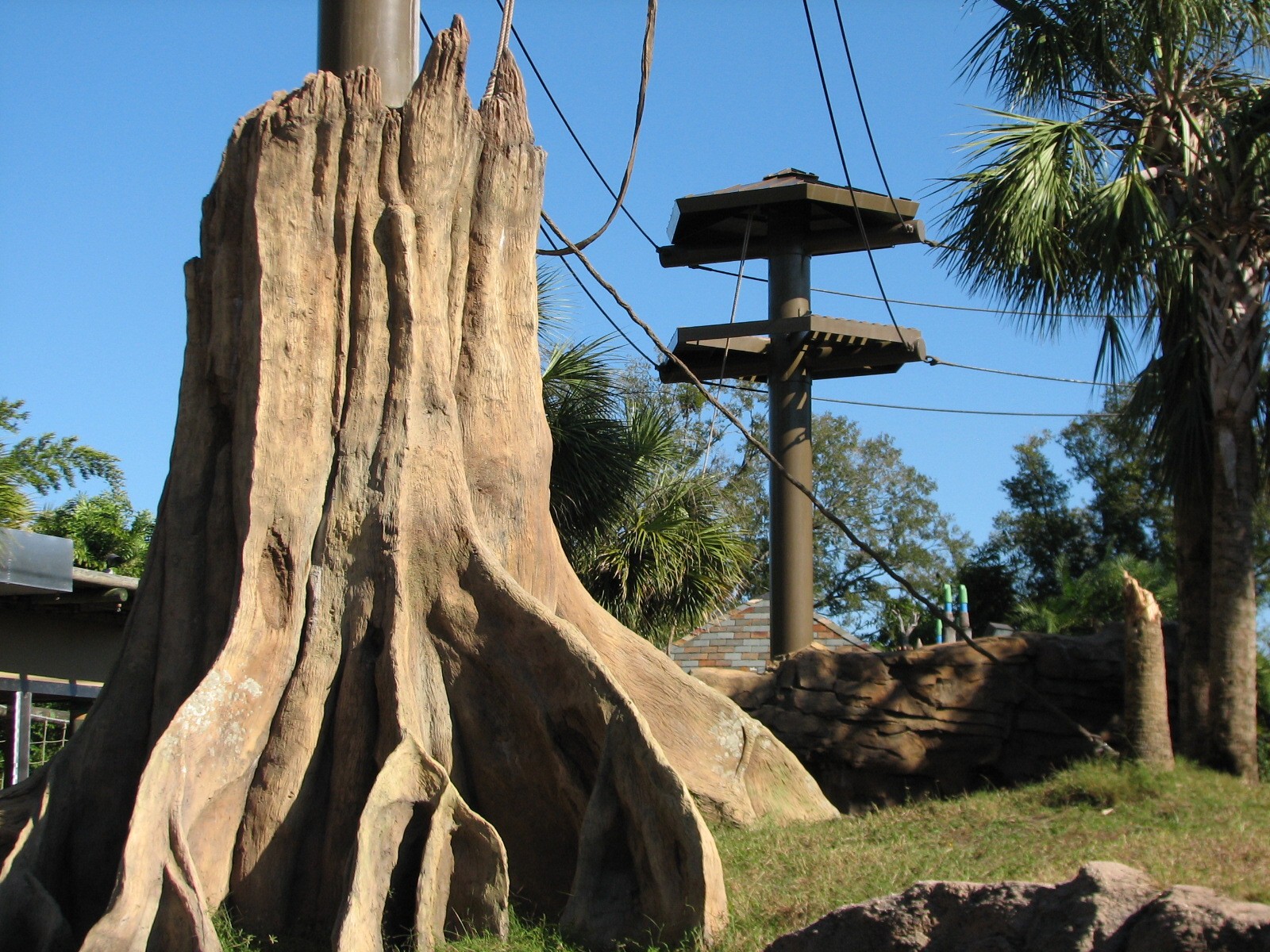 Jungala - Orangutan Exhibit