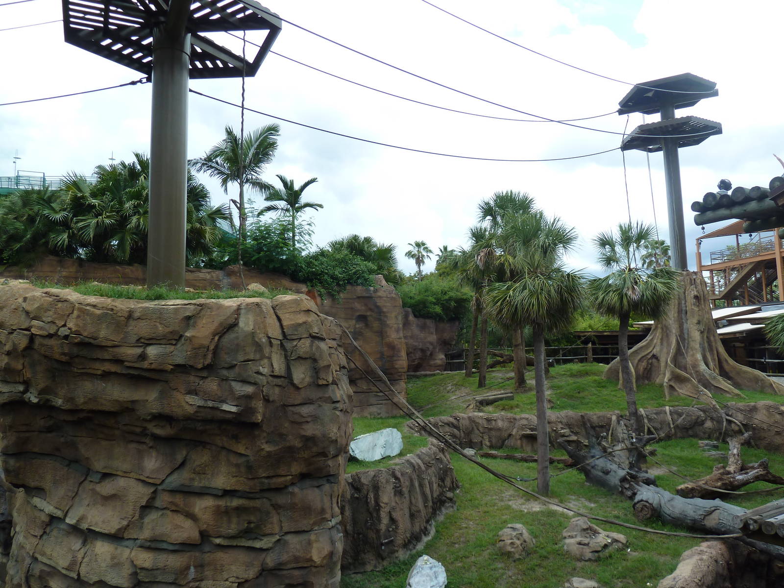 Jungala - Orangutan Exhibit