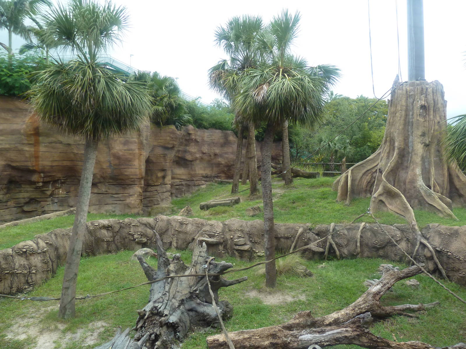 Jungala - Orangutan Exhibit