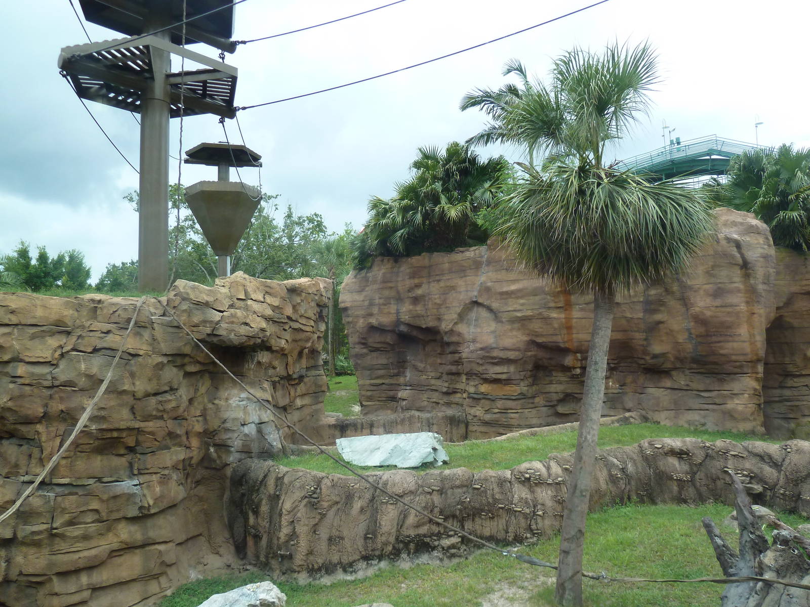 Jungala - Orangutan Exhibit