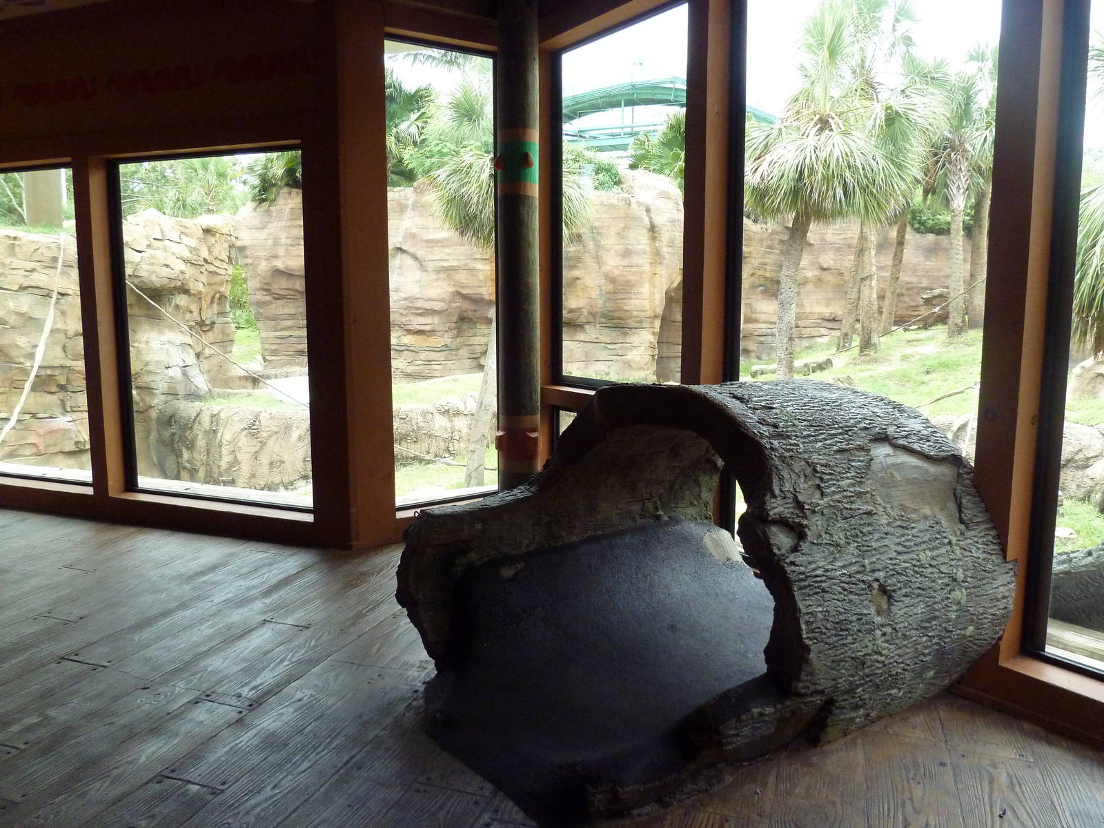 Jungala - Orangutan Exhibit