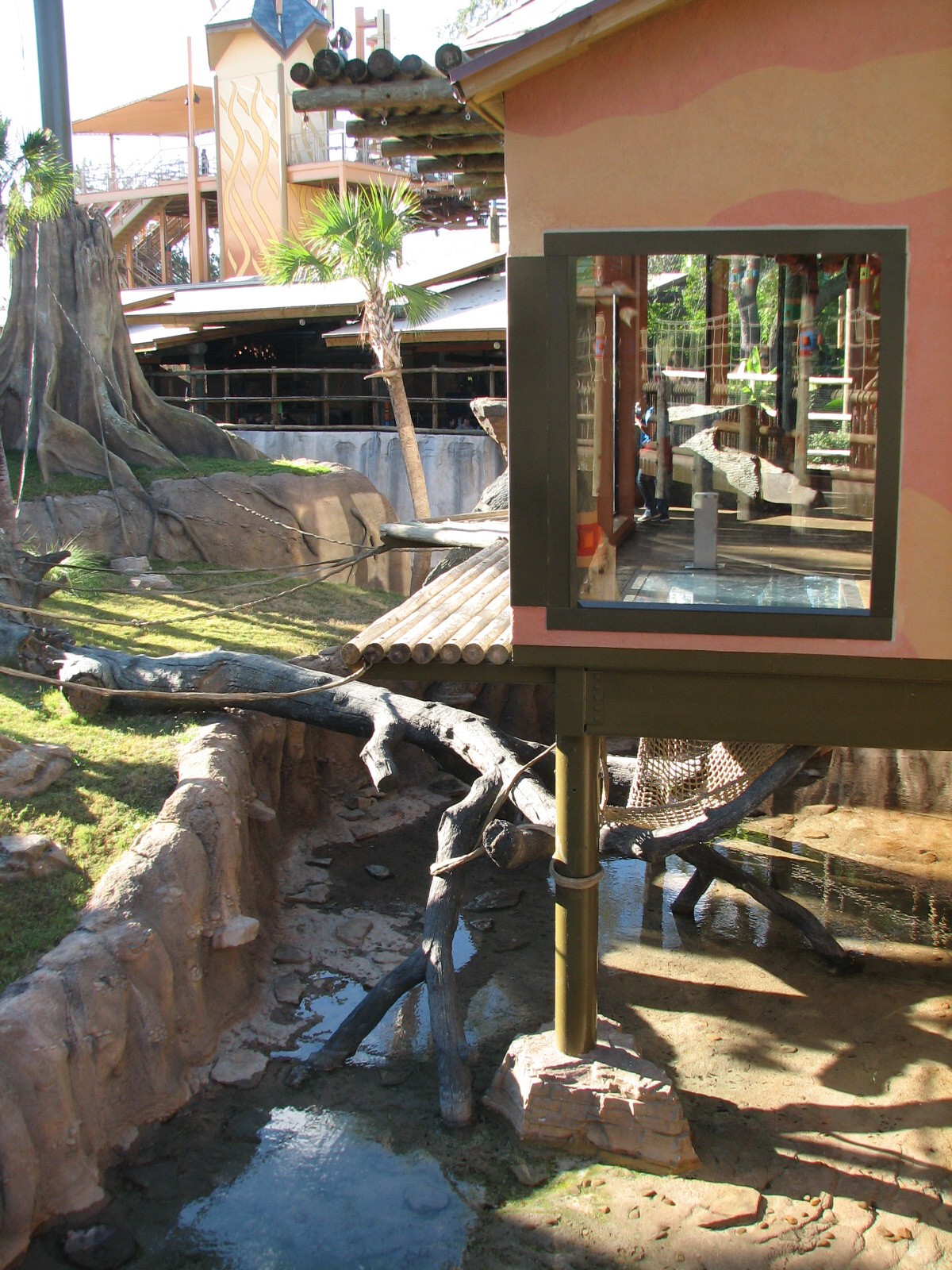 Jungala Orangutan Exhibit