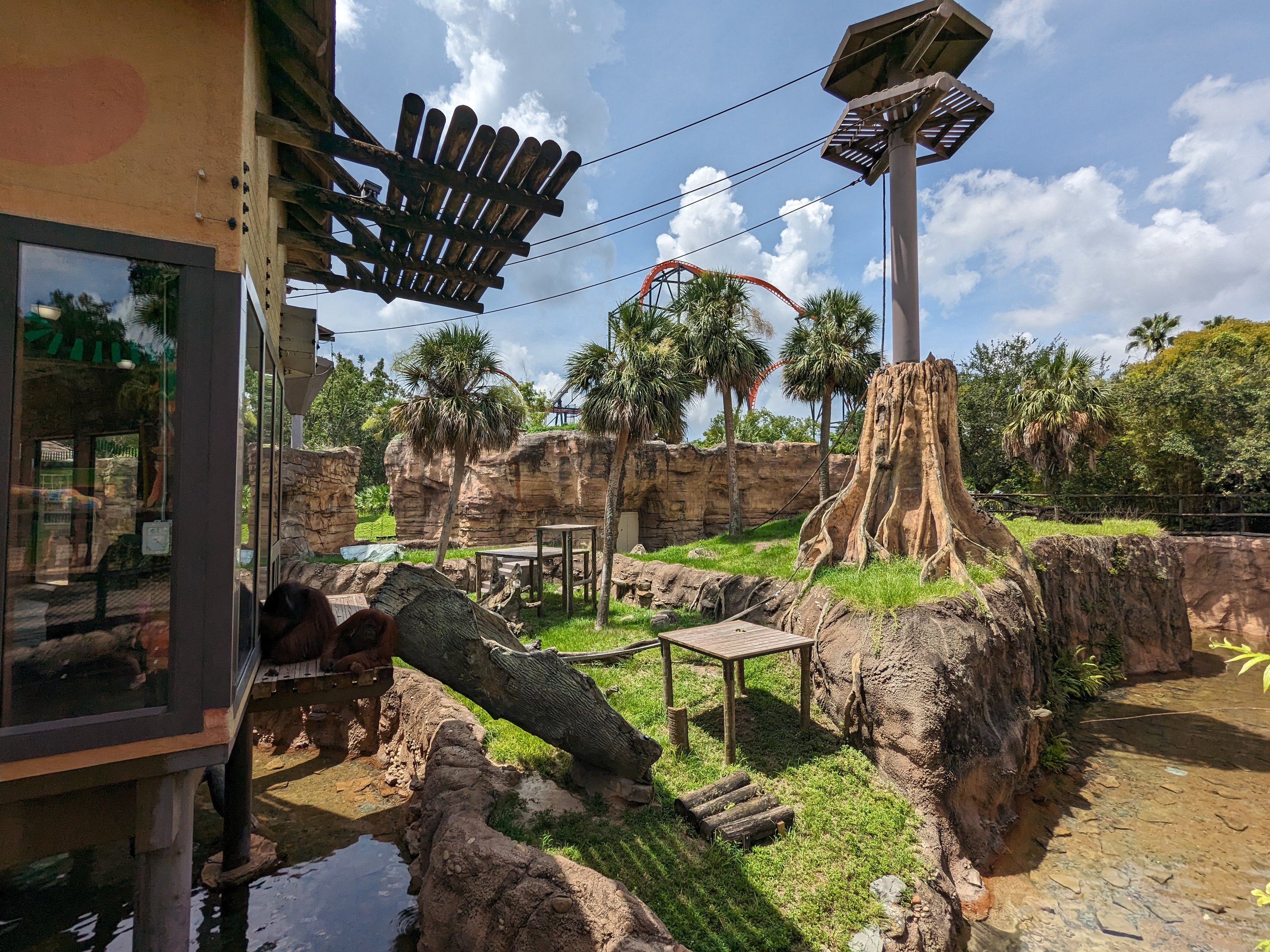 Jungala - Orangutan habitat view