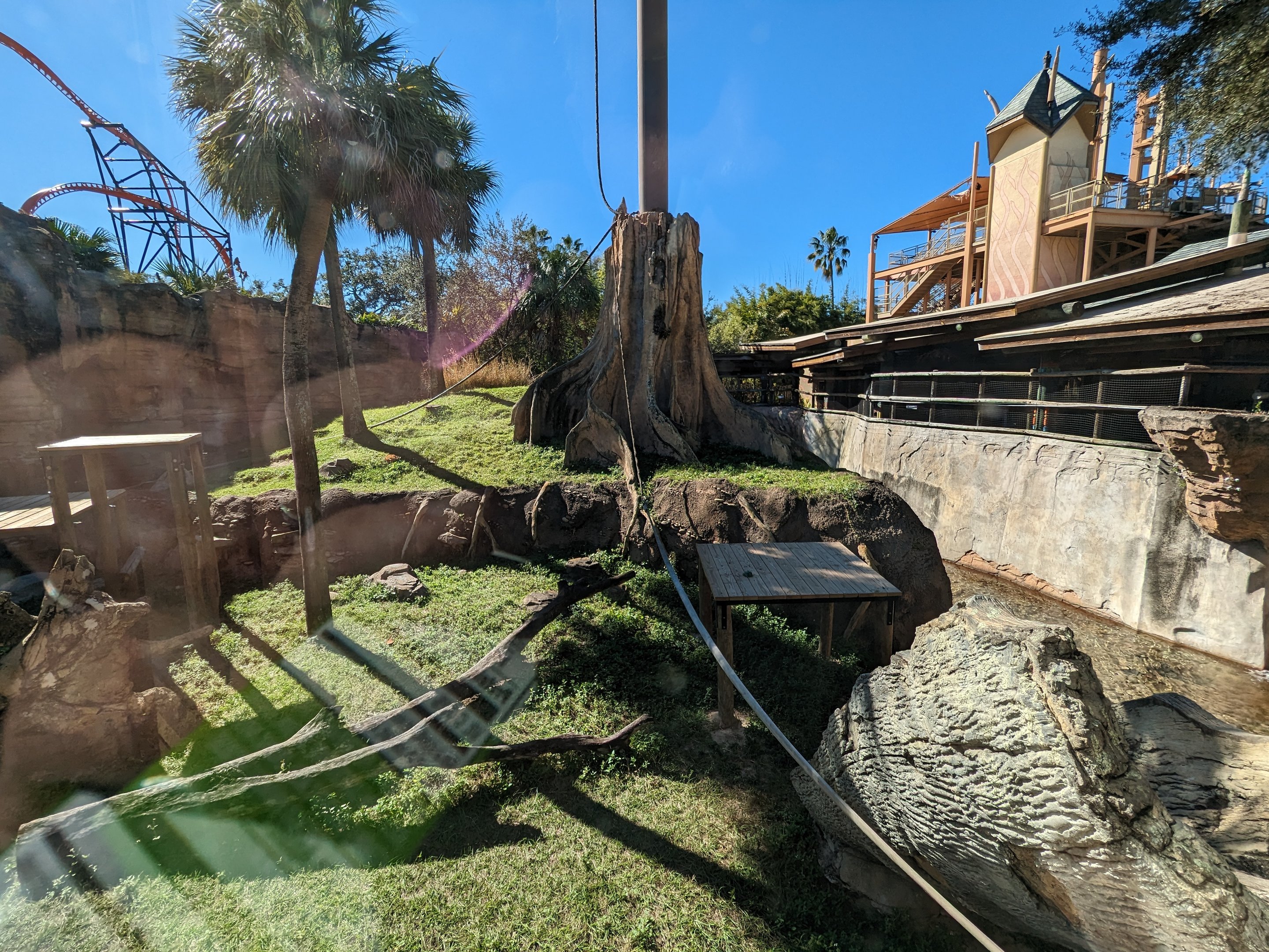 Jungala - Orangutan habtiat