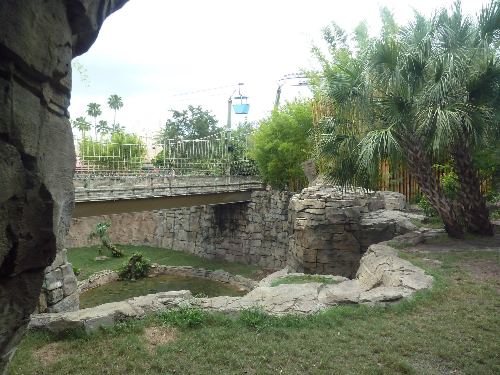 Jungala - Tiger Exhibit