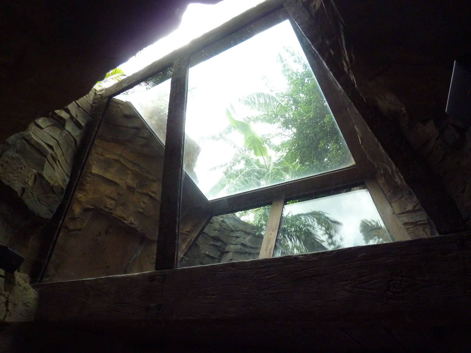 Jungala - Tiger Exhibit