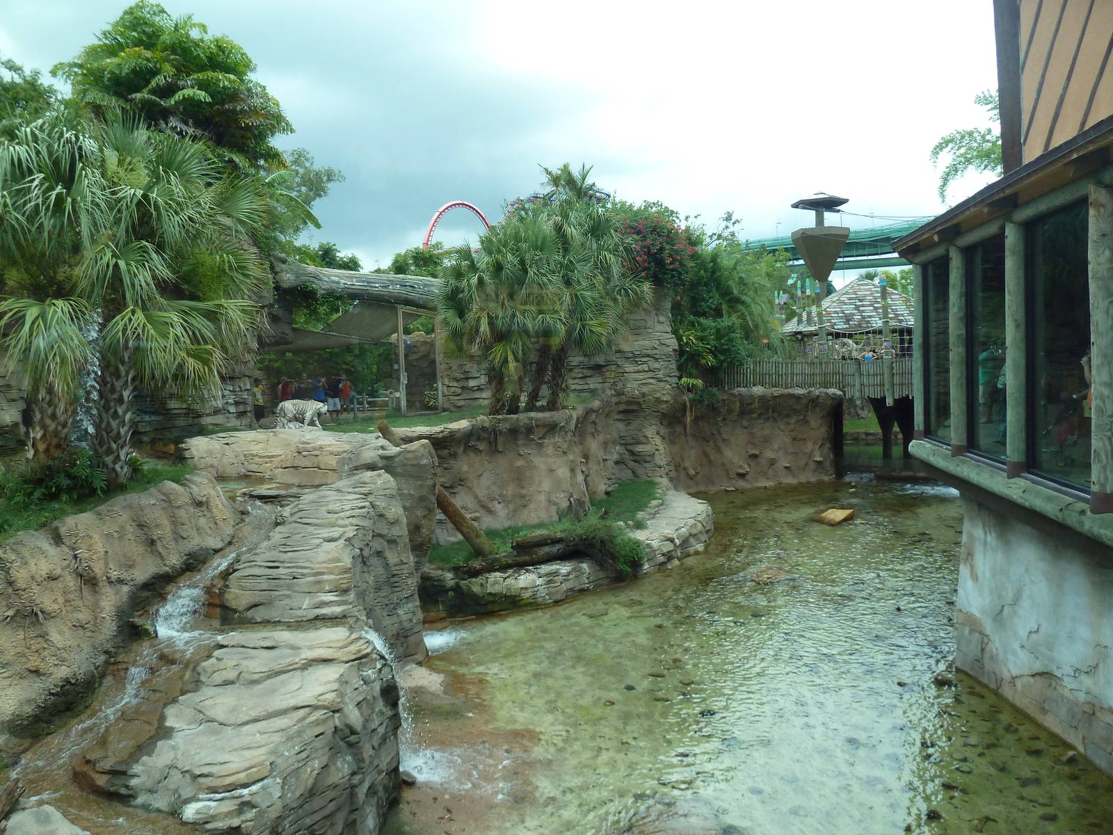 Jungala - Tiger Exhibit