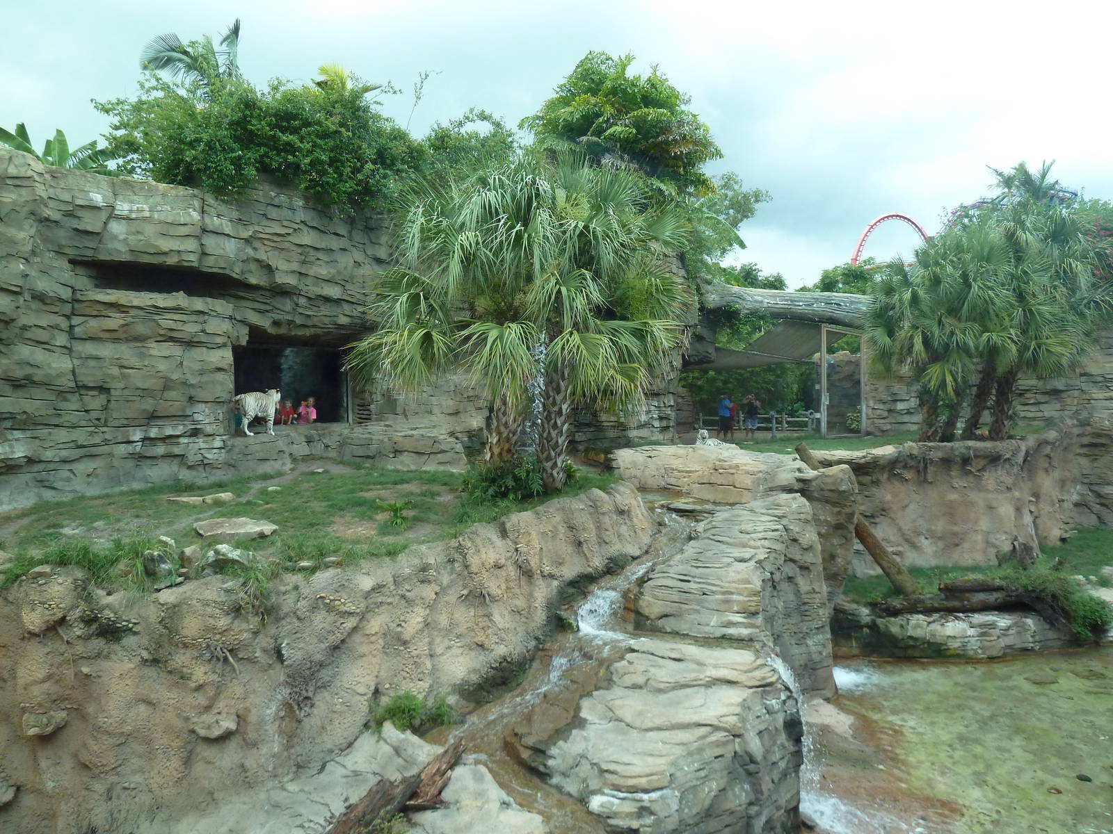 Jungala - Tiger Exhibit