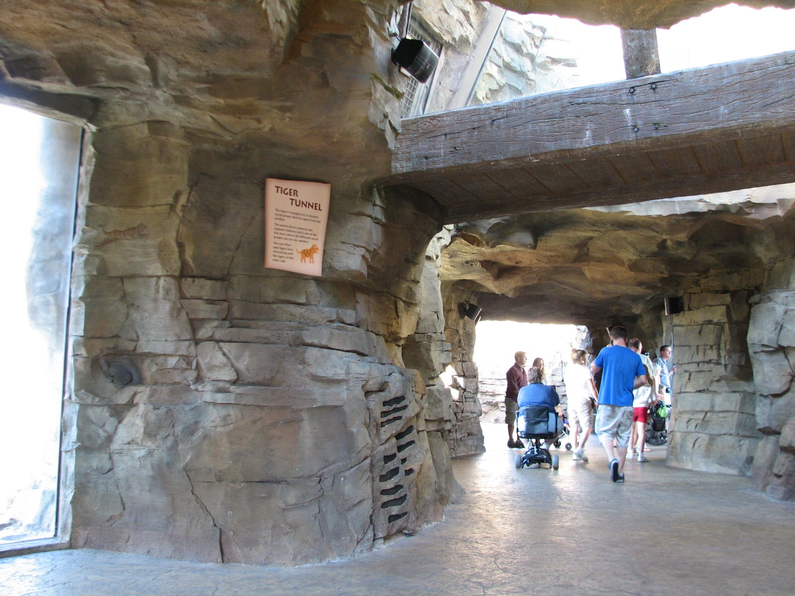 Jungala Tiger Exhibit