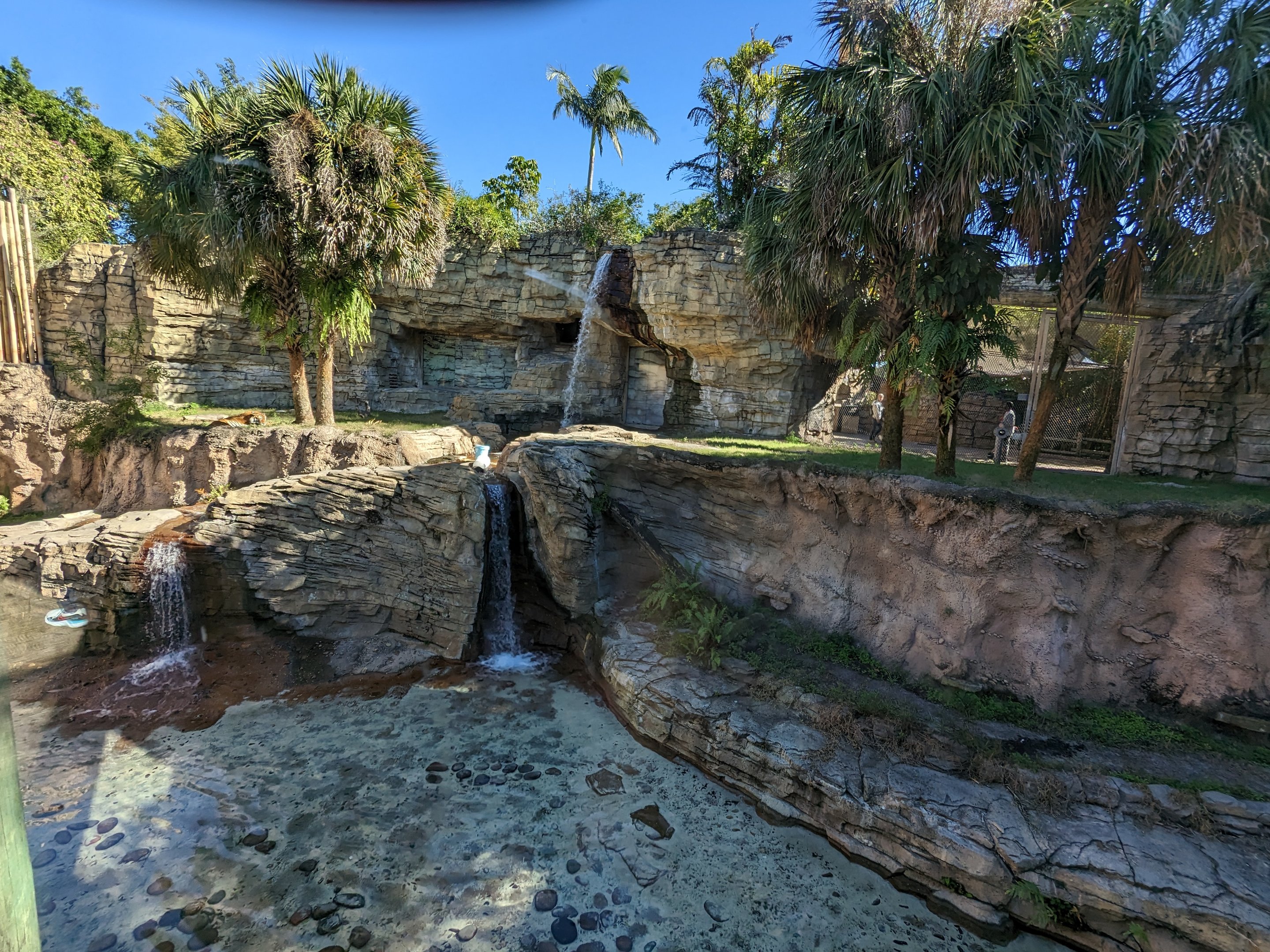 Jungala - Tiger habitat