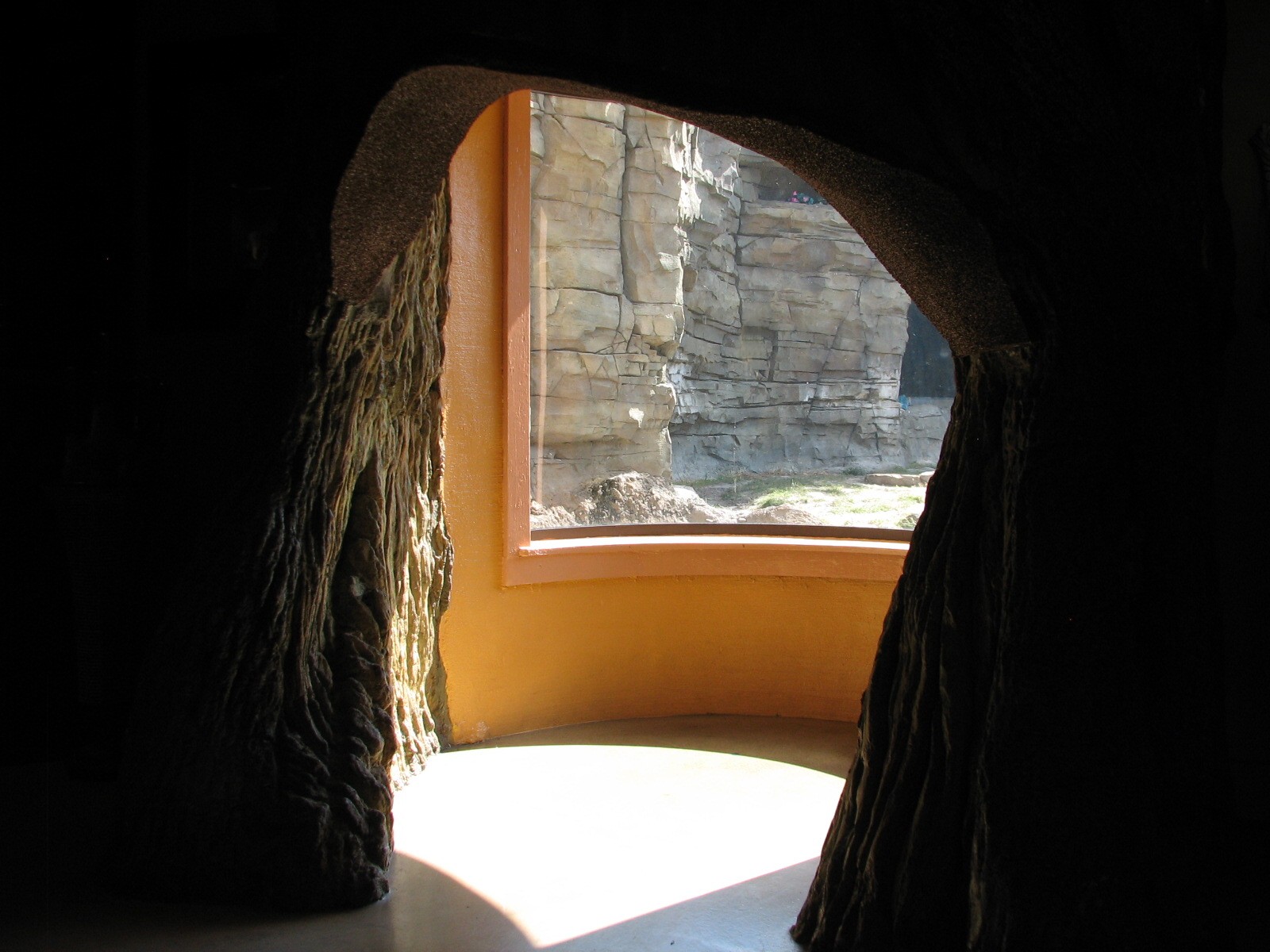 Jungala - Tiger Treasures Shop - Treetrunk Viewing Nook into Bengal Tiger E