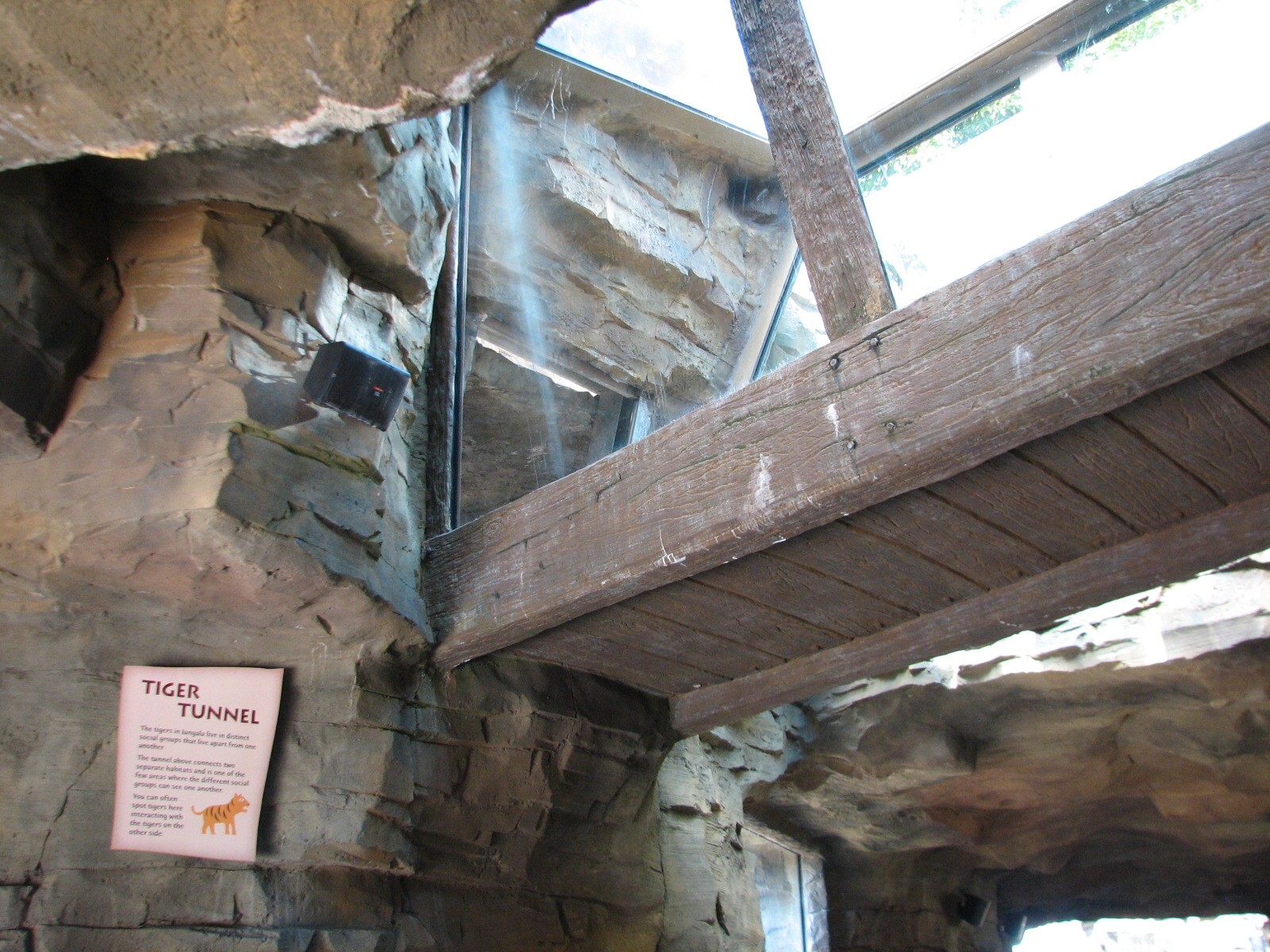 Jungala - Tiger Tunnel