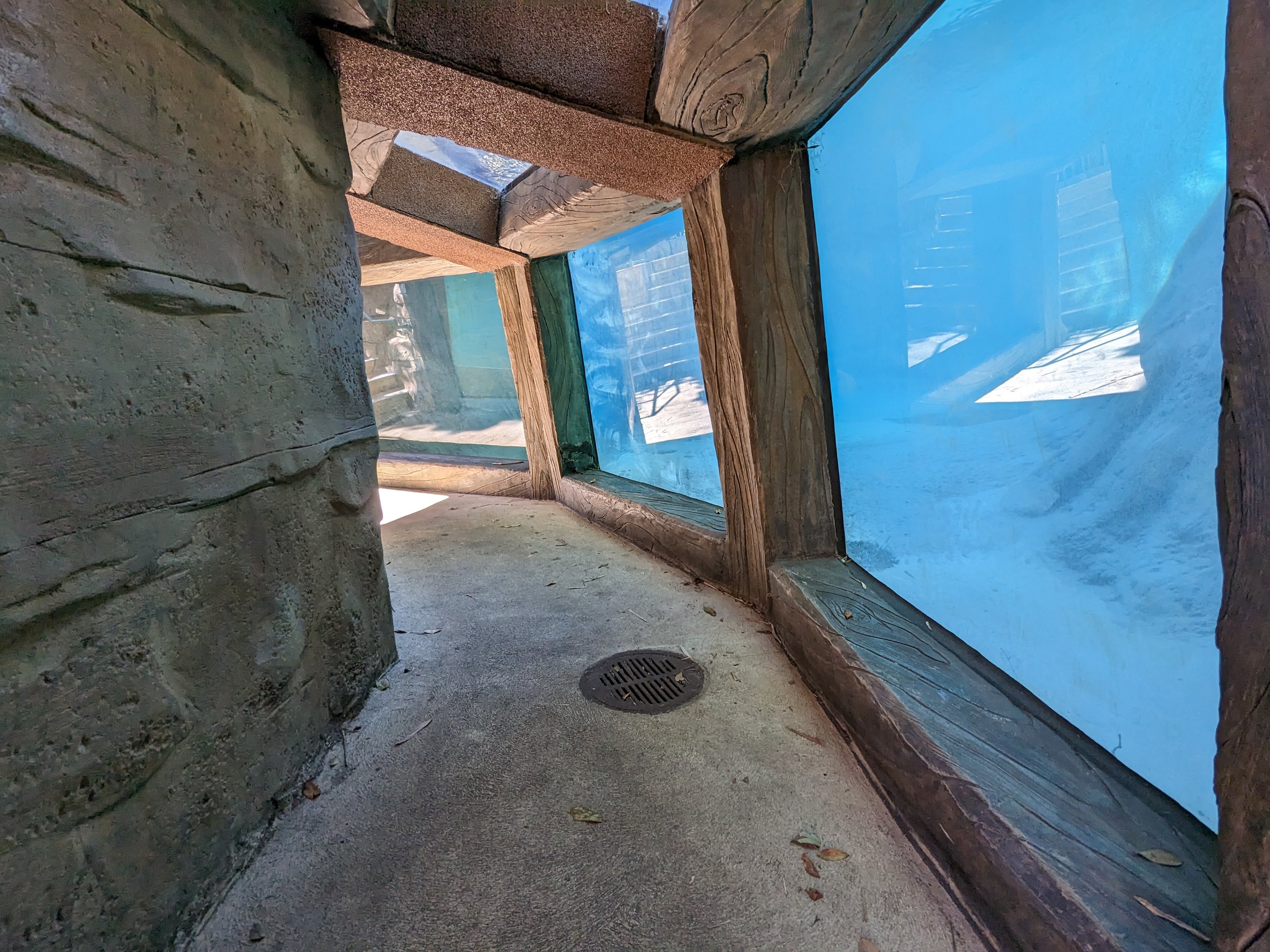 Jungala - tiger viewing under water