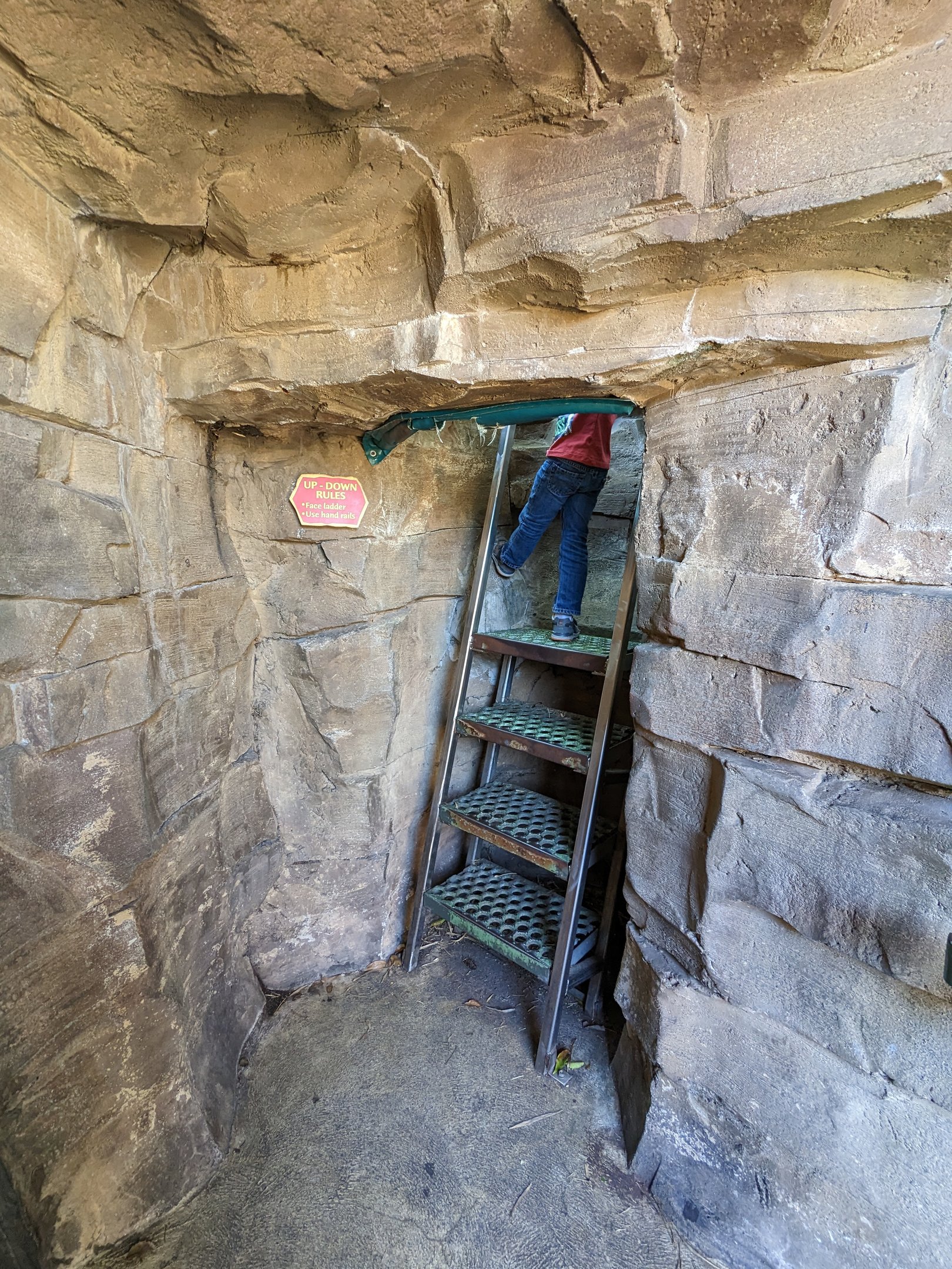 Jungala - tiger viewing