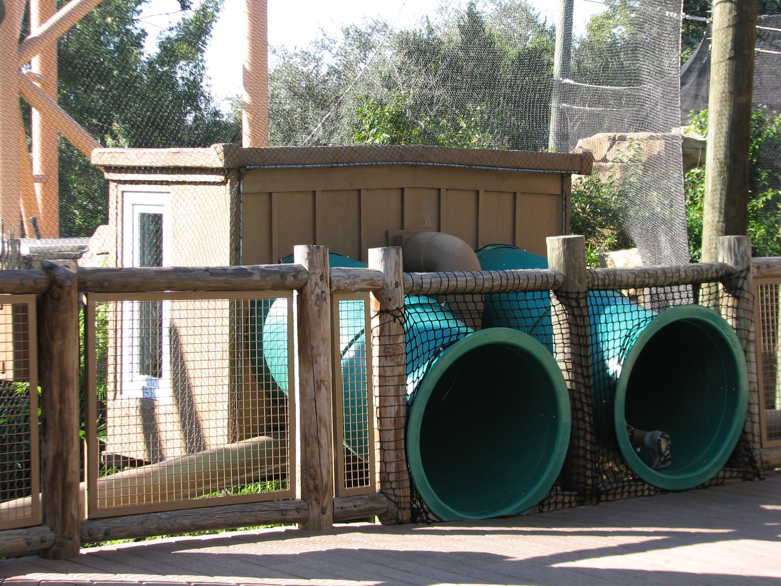 Jungala - White-cheeked Gibbon Exhibit - Crawl Shelter Viewing Area
