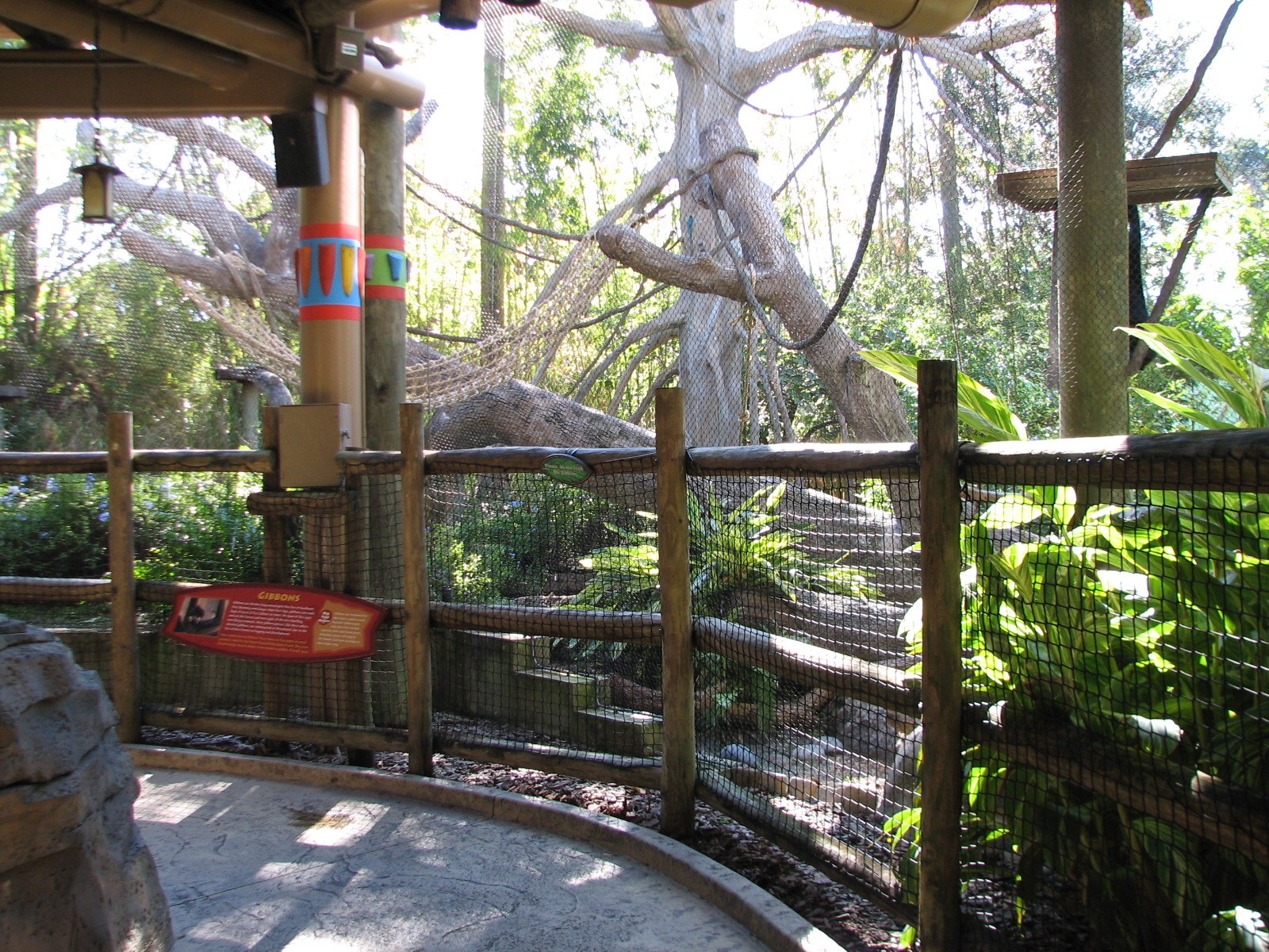 Jungala - White-cheeked Gibbon Exhibit - Lower Viewing Area