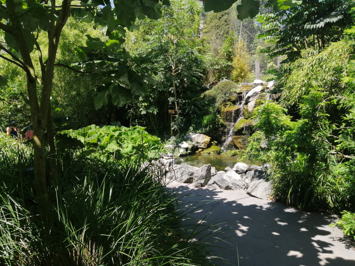 Jungle Aviary (Species list in comment)