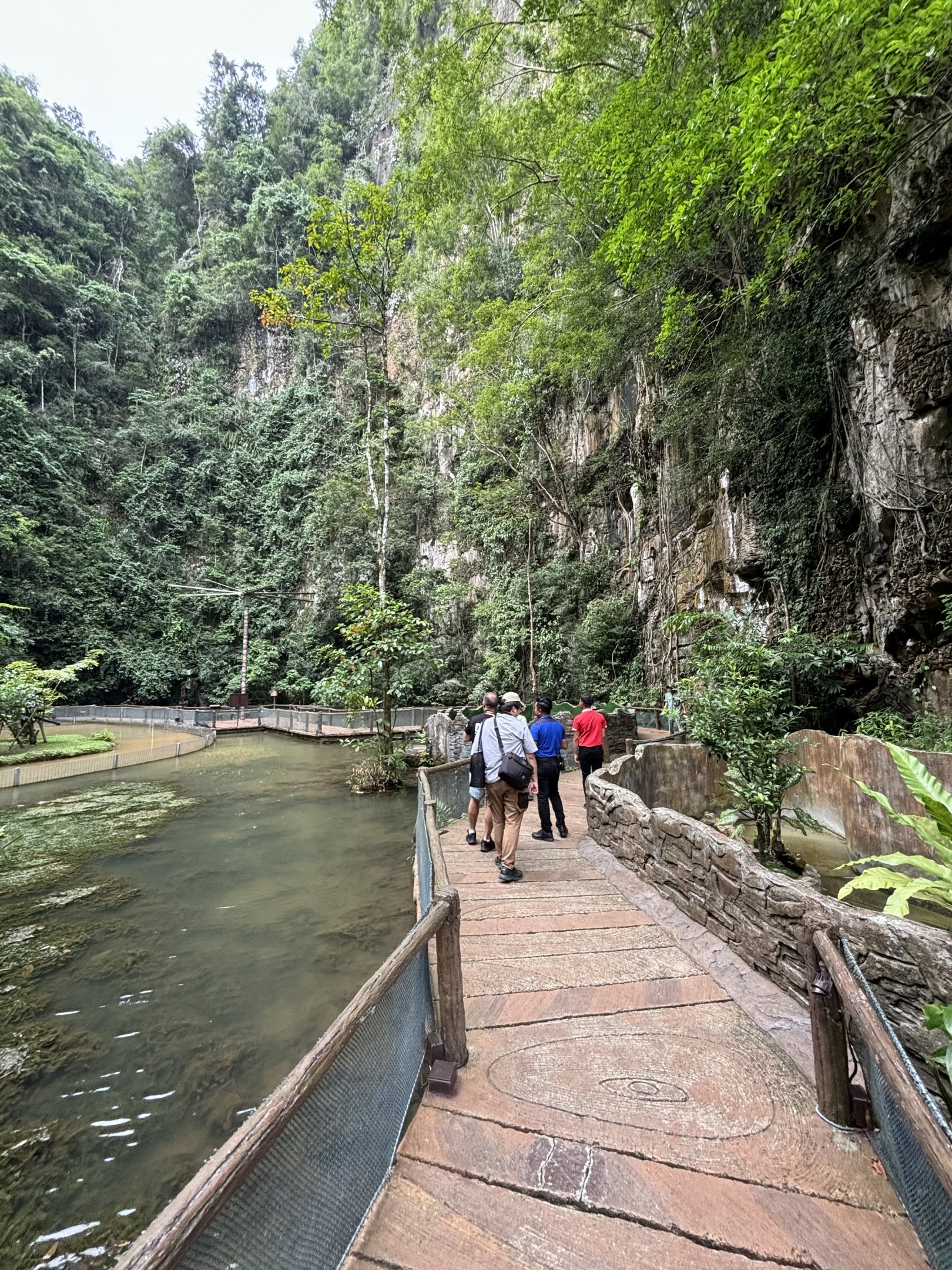 Jungle Boardwalk - Lost World of Tambun