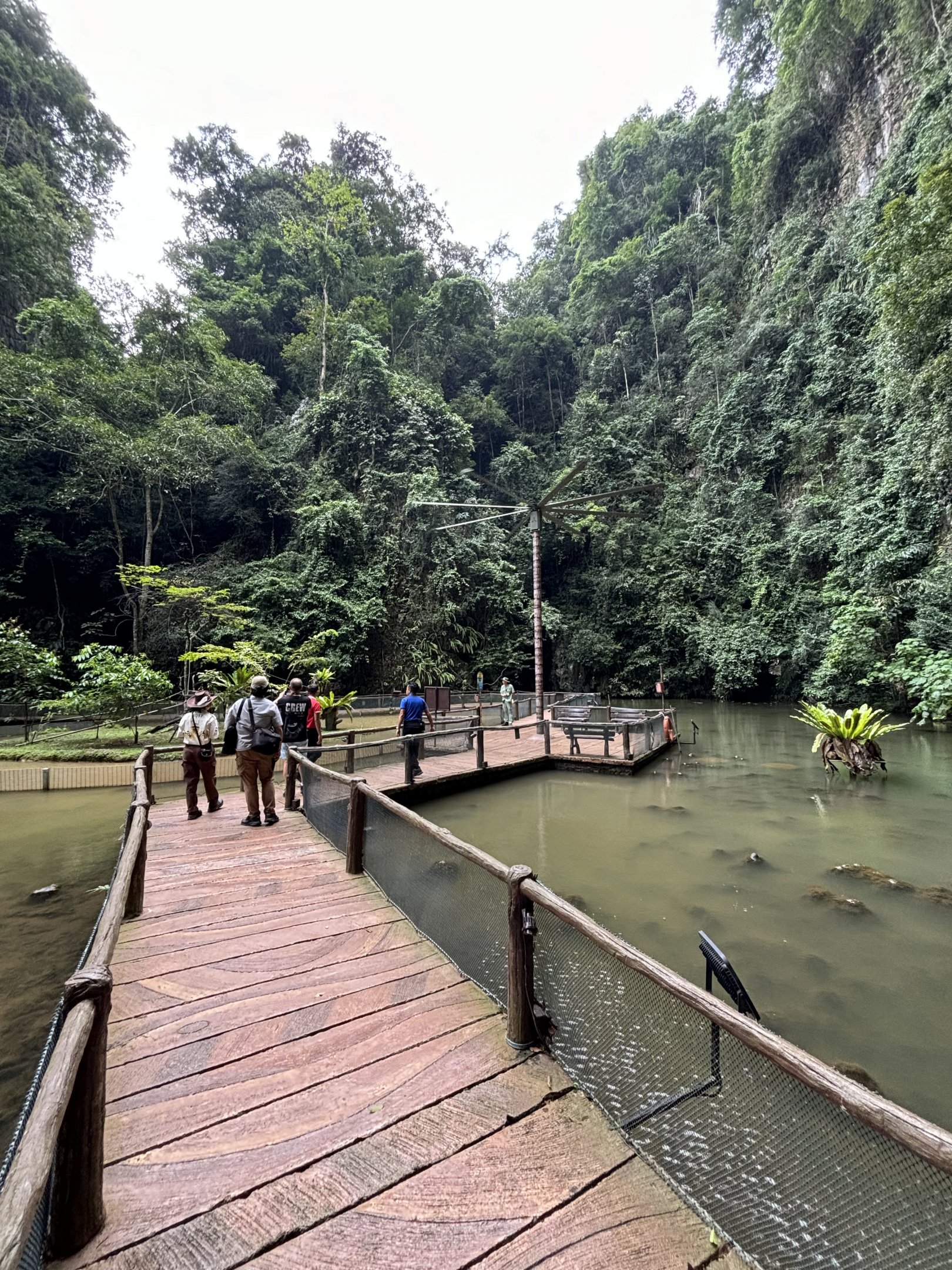 Jungle Boardwalk - Lost World of Tambun