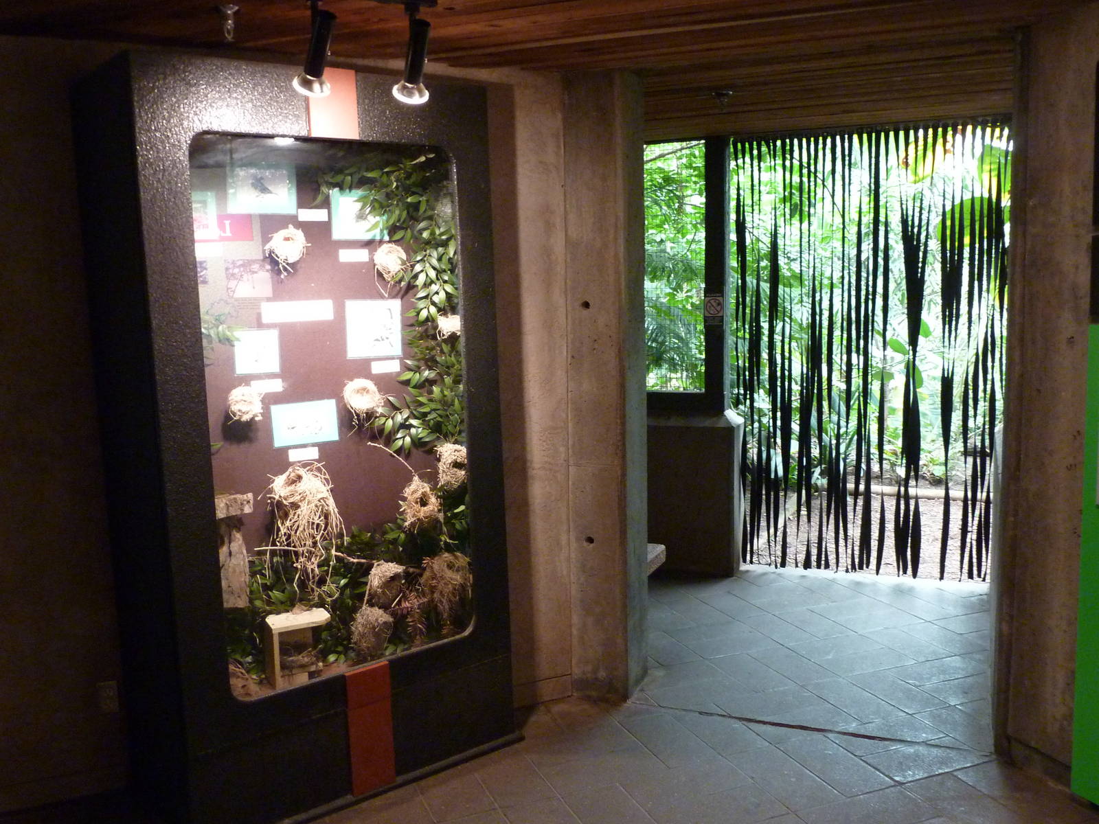 Jungle Building - Entrance