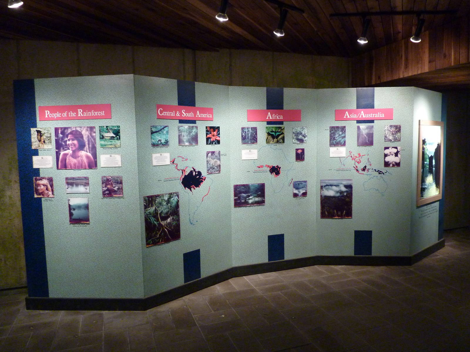 Jungle Building -Entrance