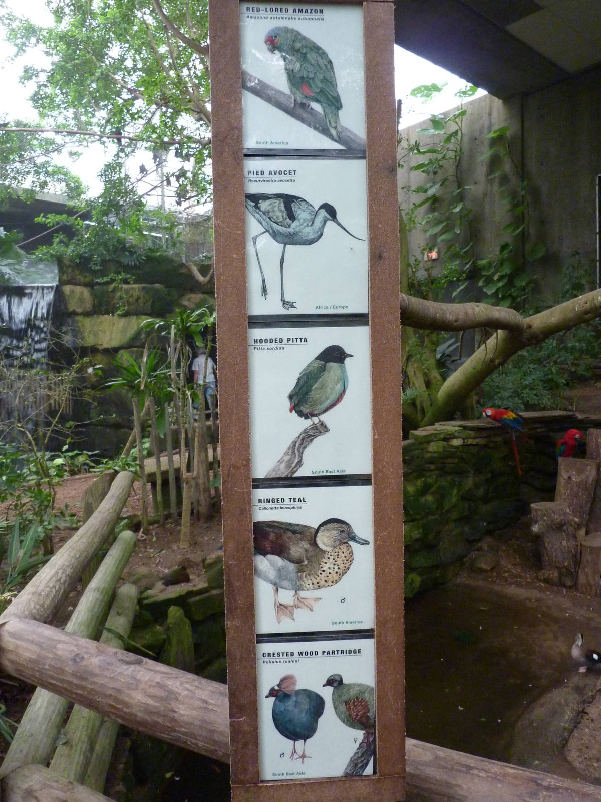 Jungle Building -Signage