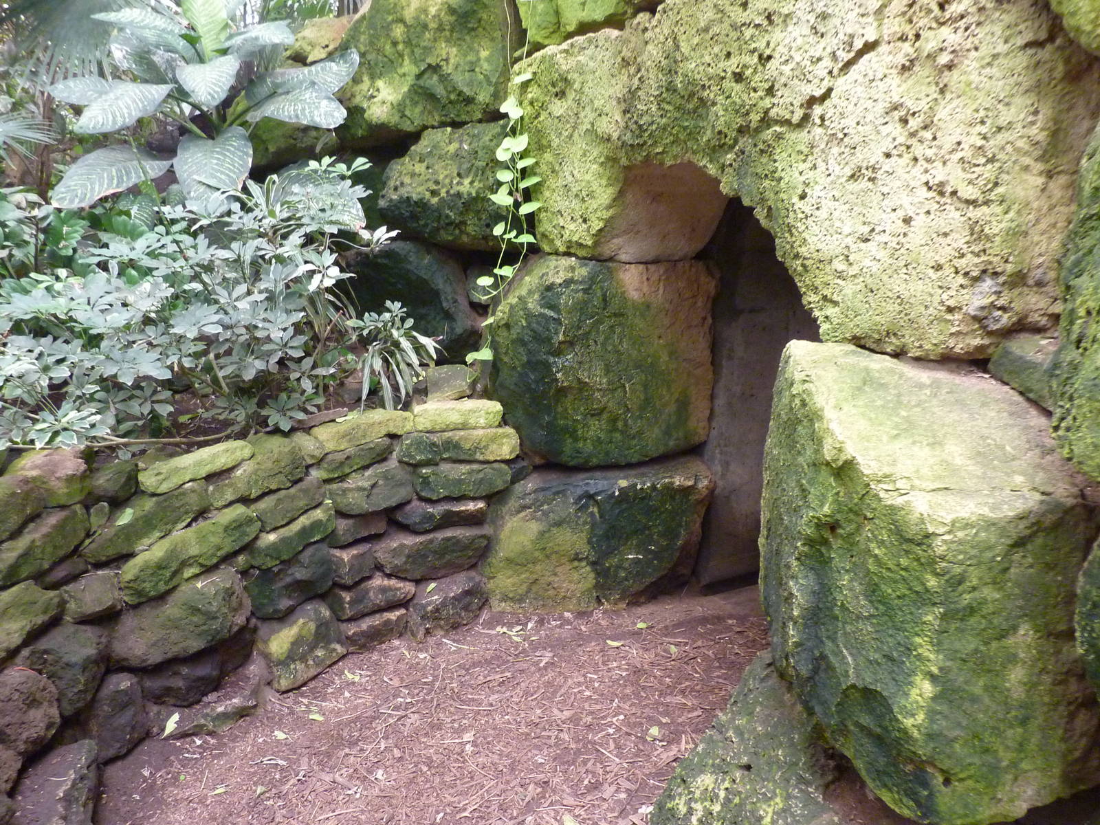 Jungle Building -Tunnel Entrance