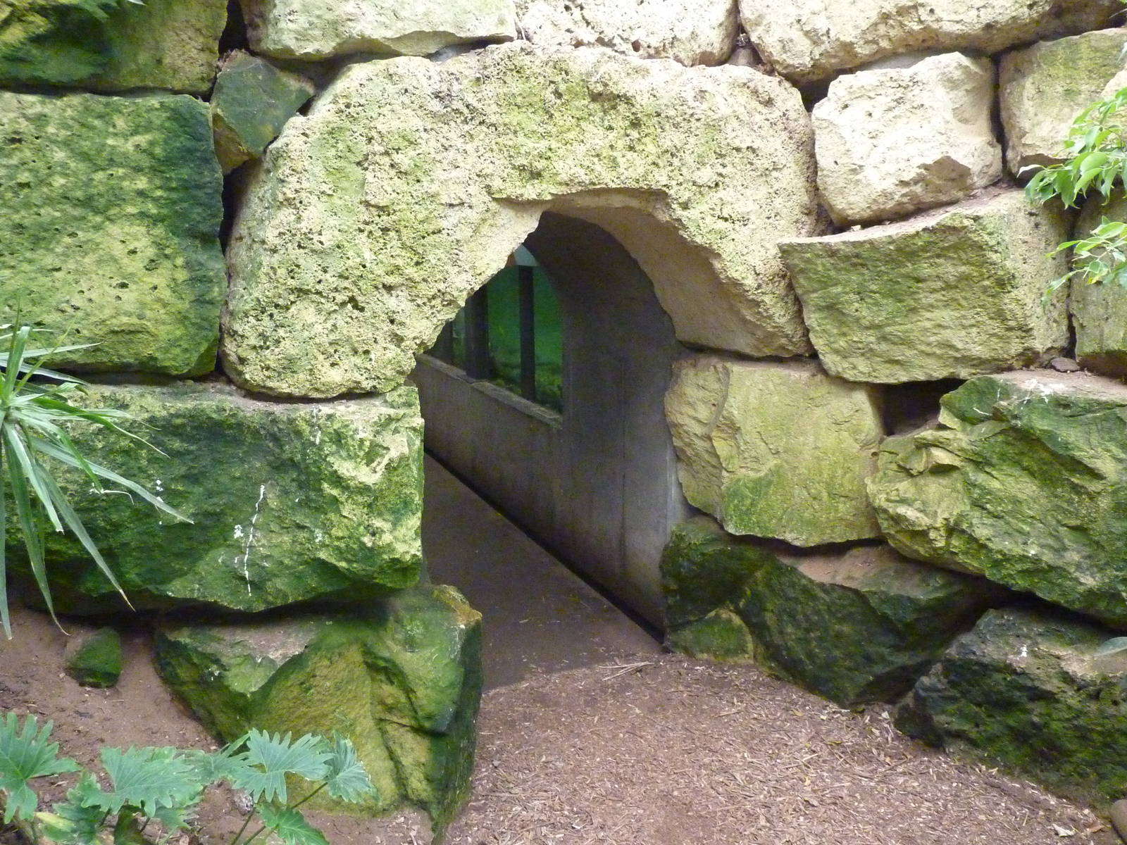 Jungle Building -Tunnel Entrance