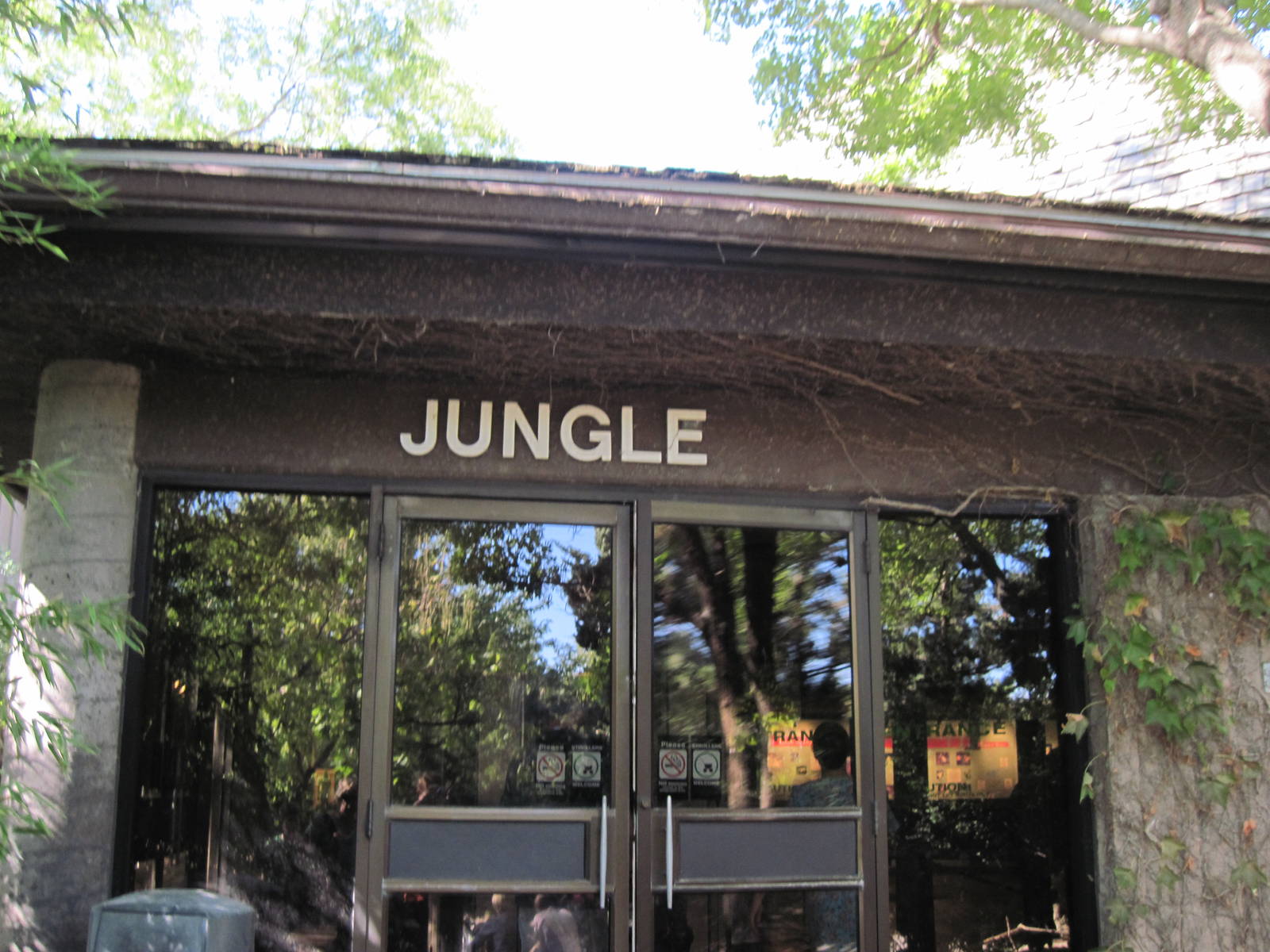 Jungle Building
