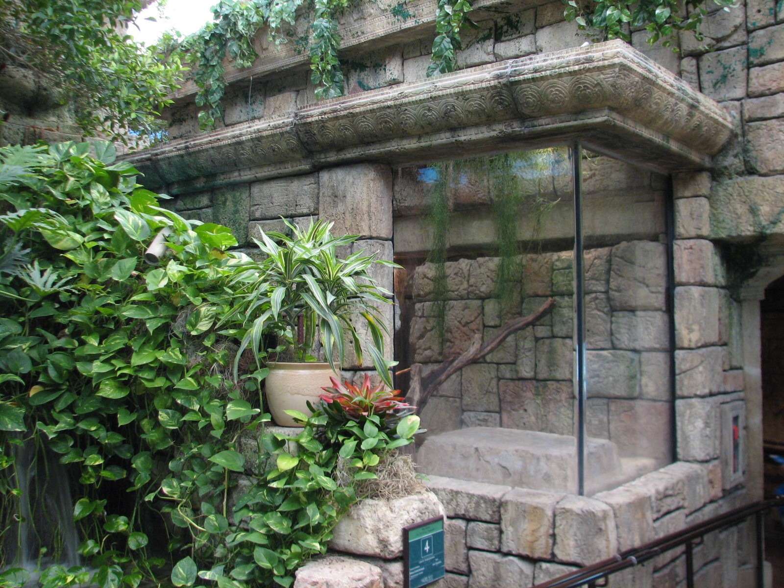 Jungle - Burmese Python, Asian Arrowana, Fly River Turtle, and Pignose Turt