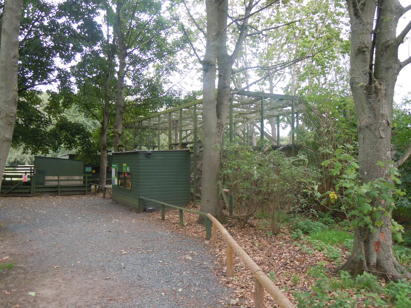 Jungle cat enclosure 100920