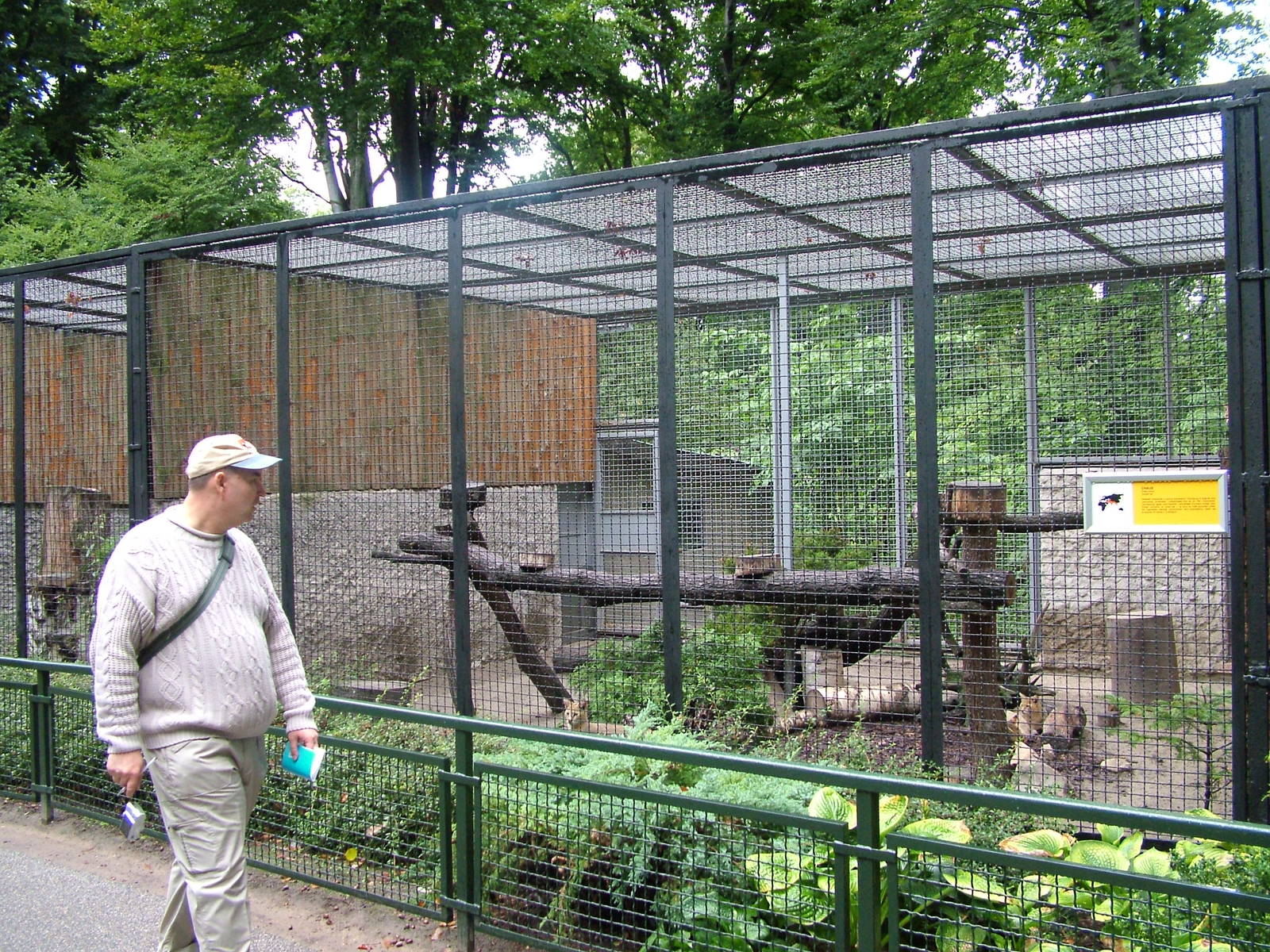 Jungle Cat enclosure at Krakow 08/09/2008