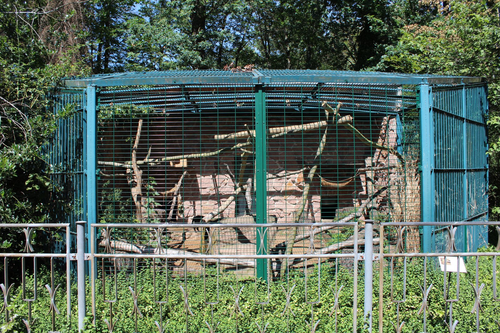 Jungle Cat Enclosure - July 2019