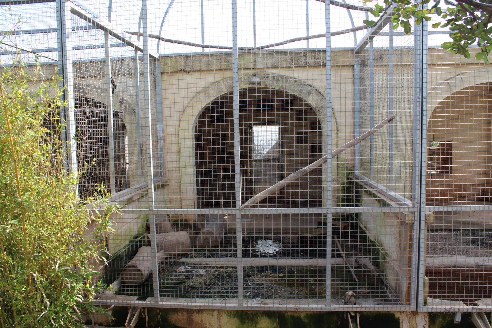 Jungle Cat Enclosure - MonteKristo Animal Park, Malta