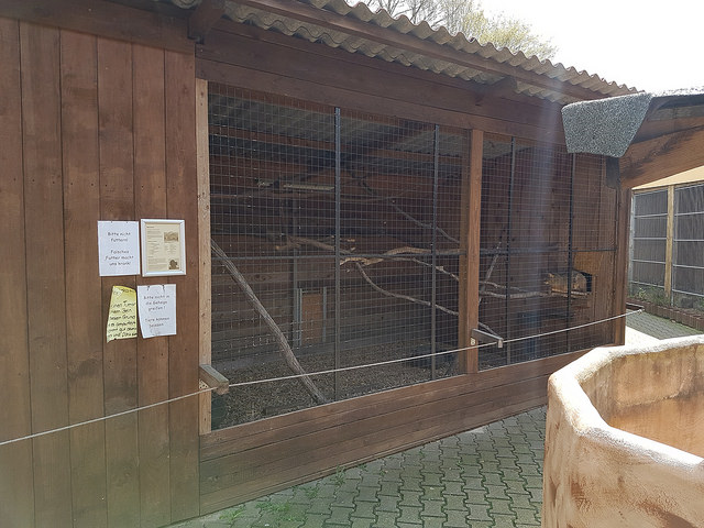 Jungle cat enclosure