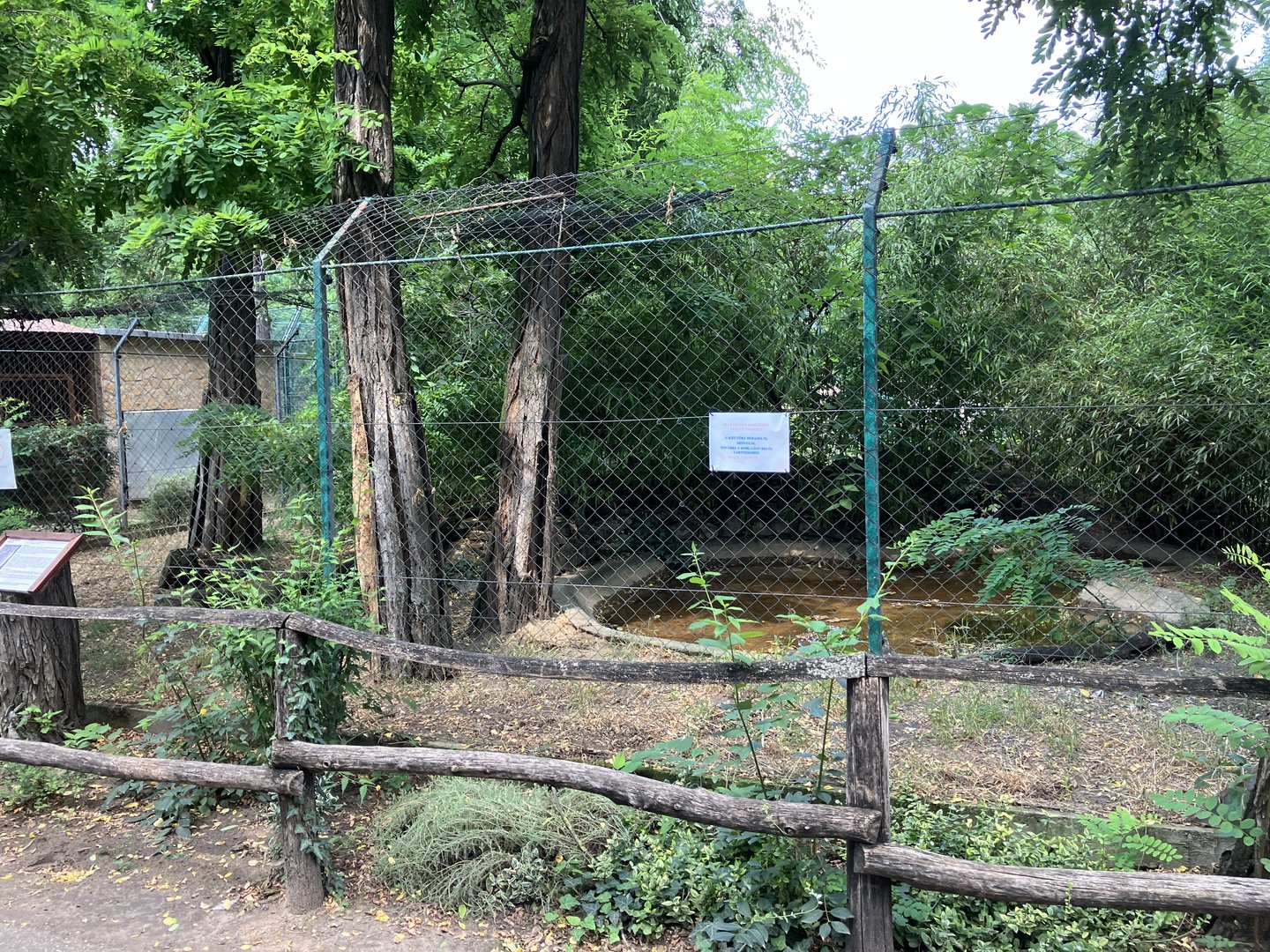 Jungle cat enclosure