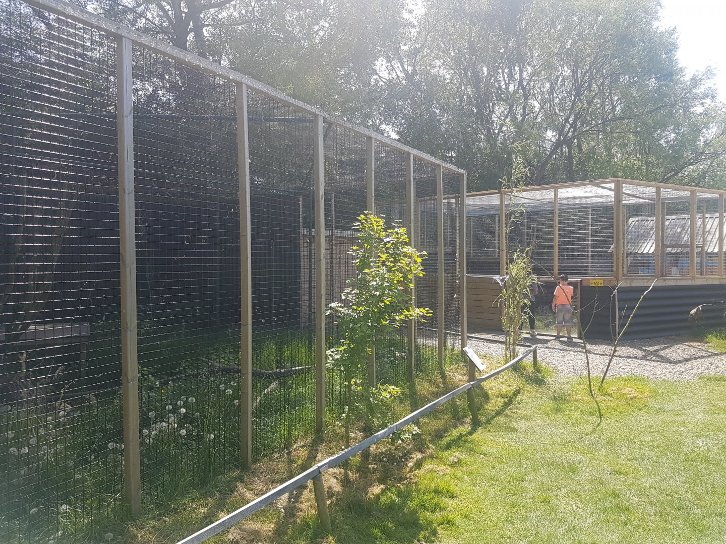 Jungle cat enclosures